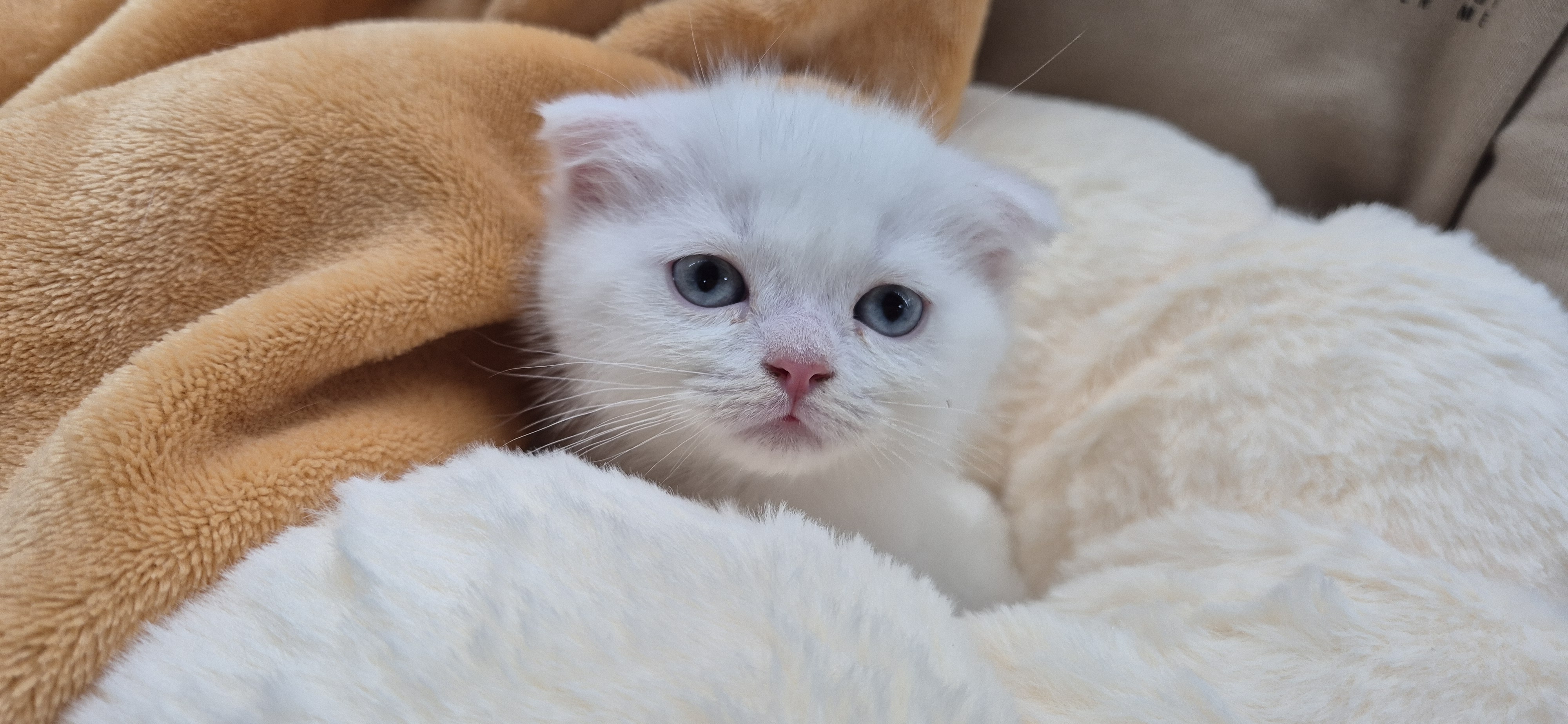 사단법인케이에스디문화원 대표 이미지