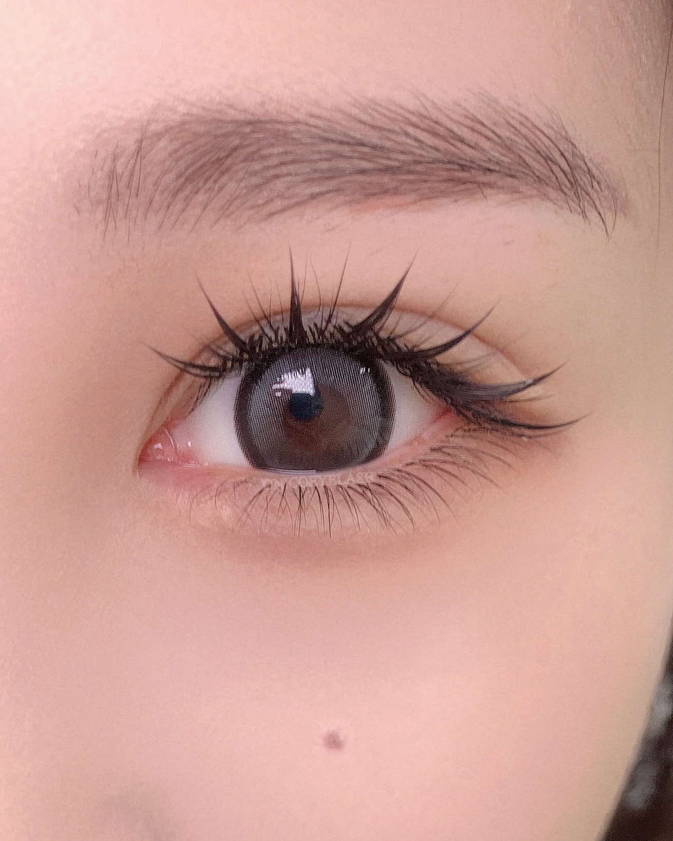 오니코아이래쉬 강북 대표 이미지