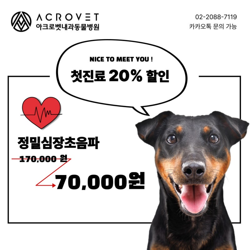 아크로벳내과동물병원 대표 이미지