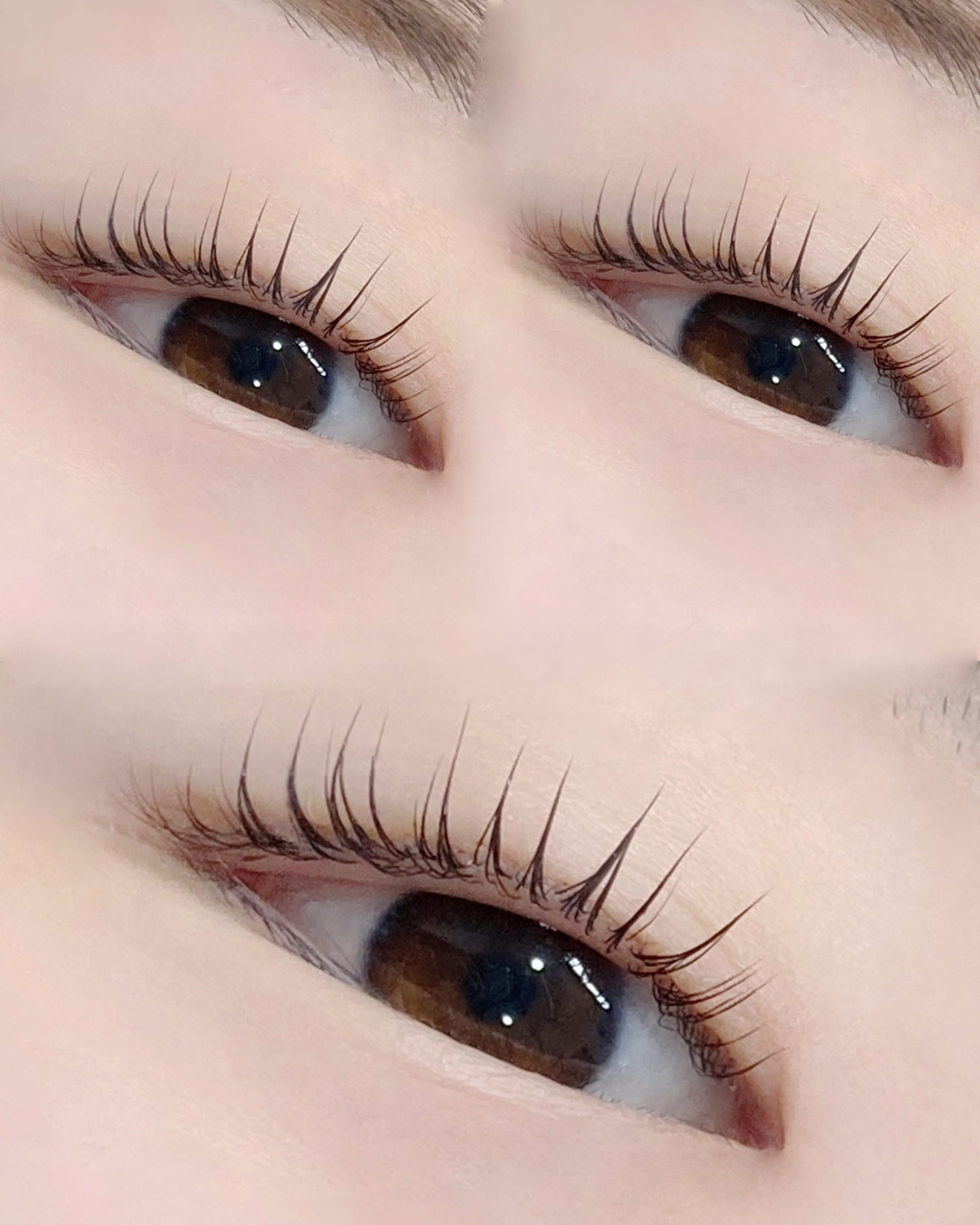 아이온래쉬 대표 이미지