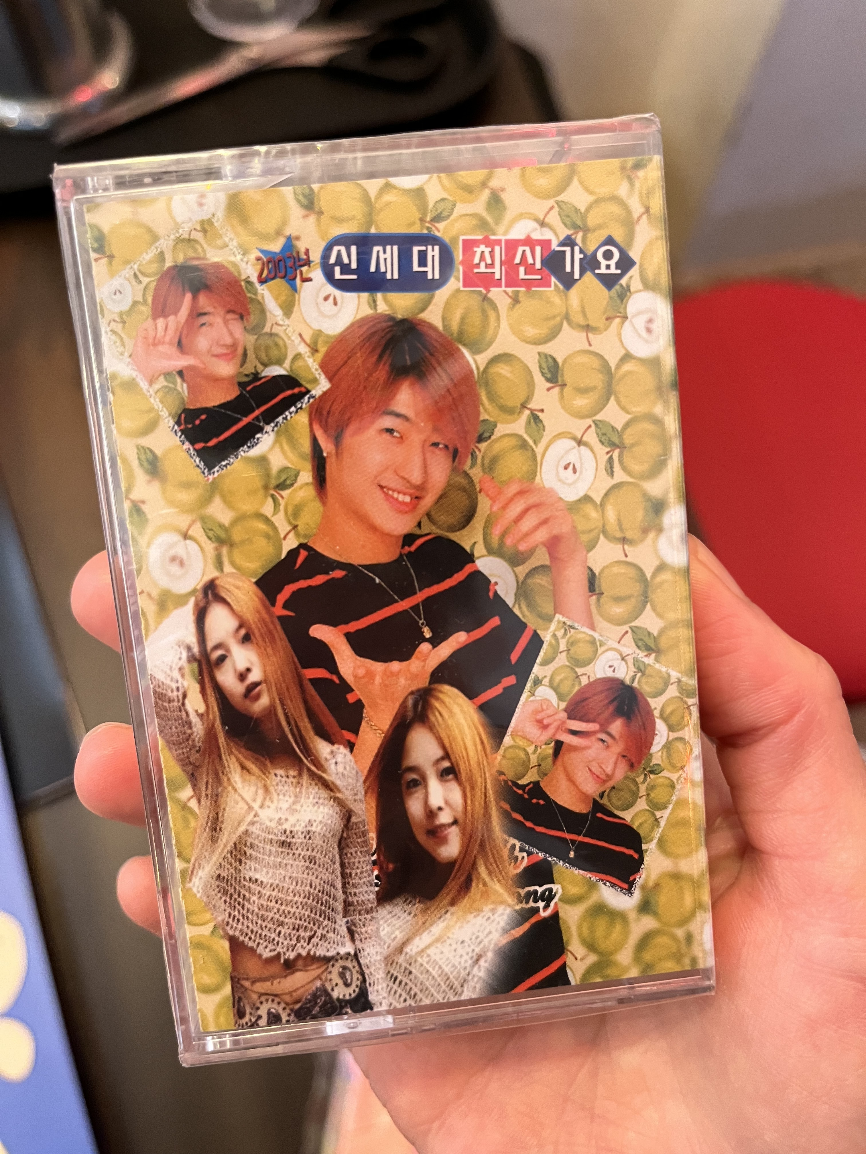 성광식당