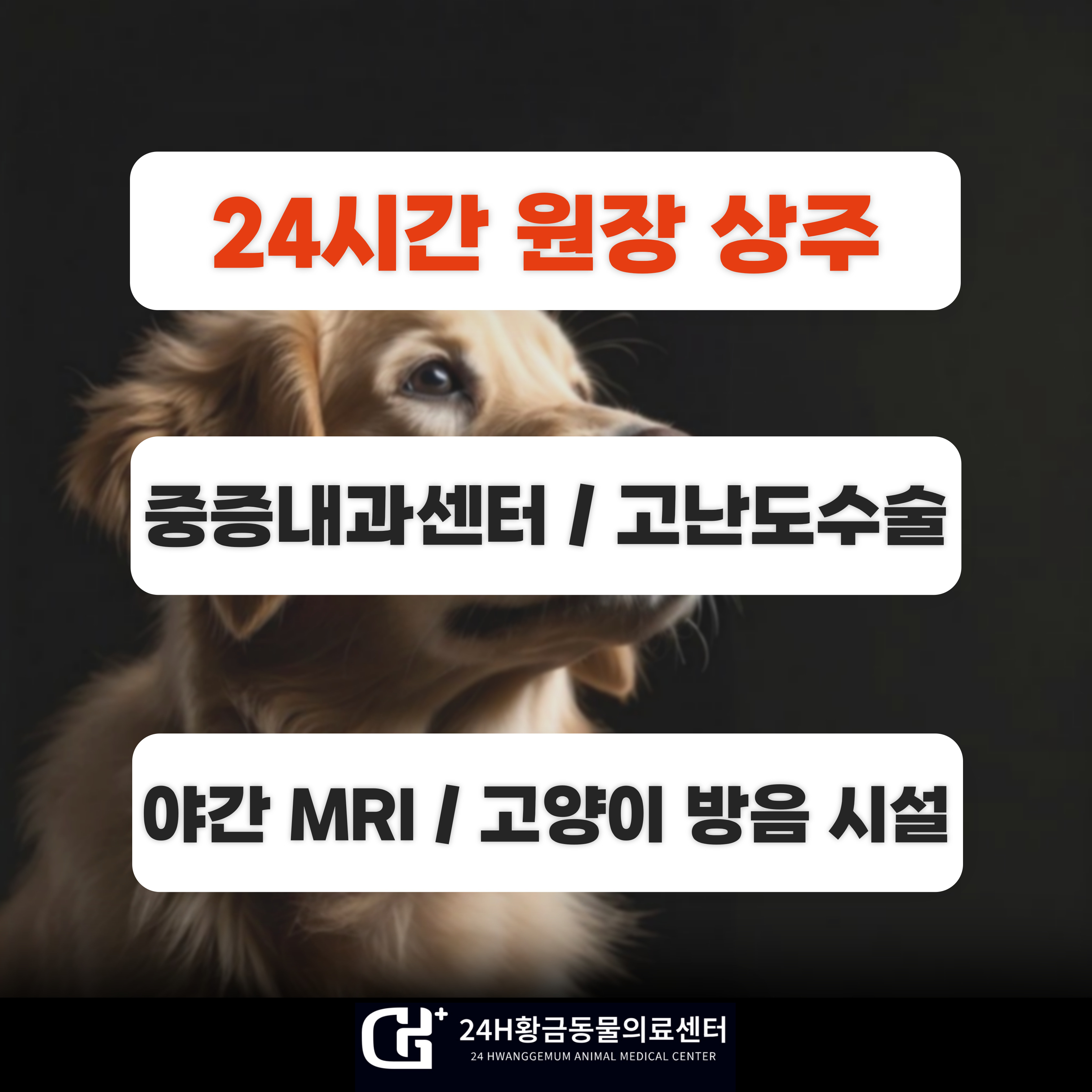 24시 황금동물의료센터