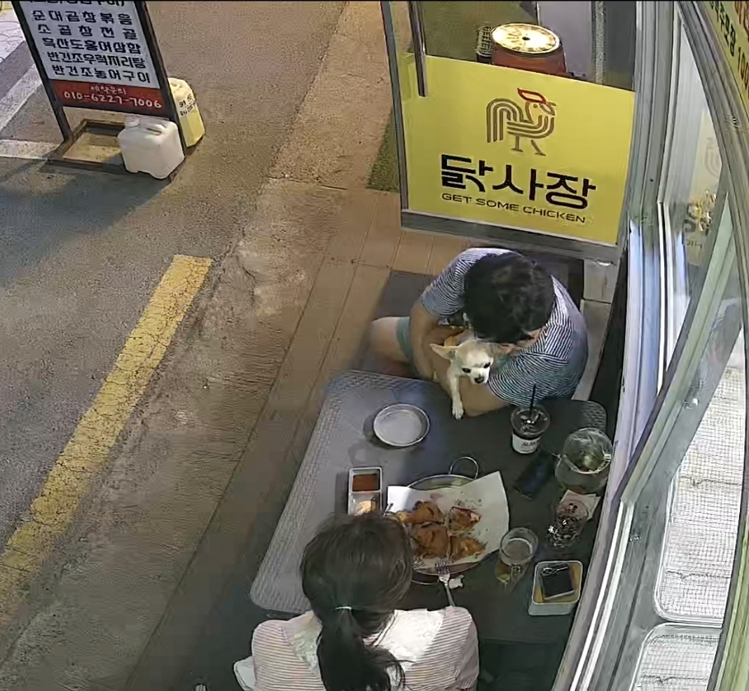 닭사장