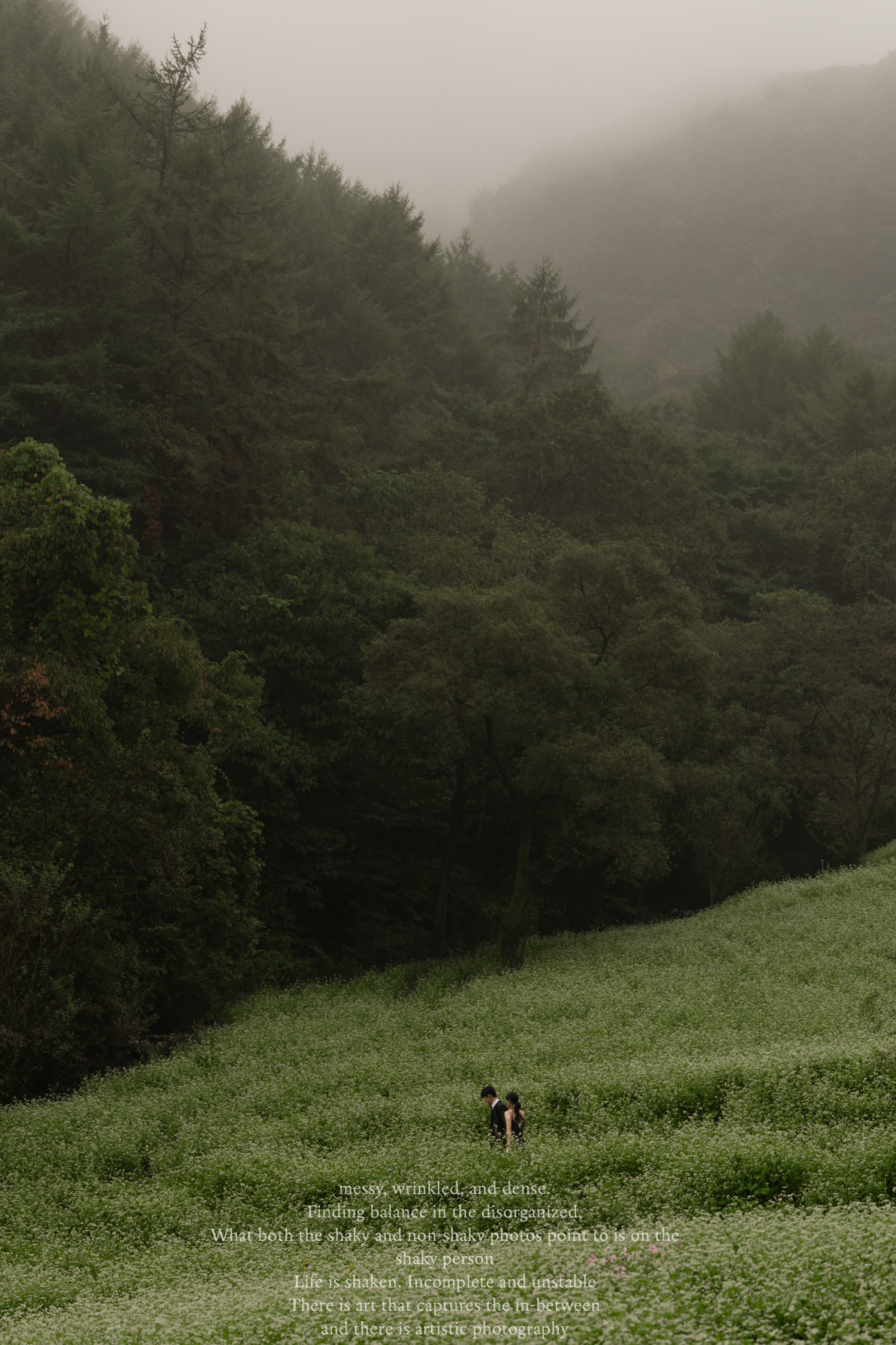 체온스냅 대표 이미지