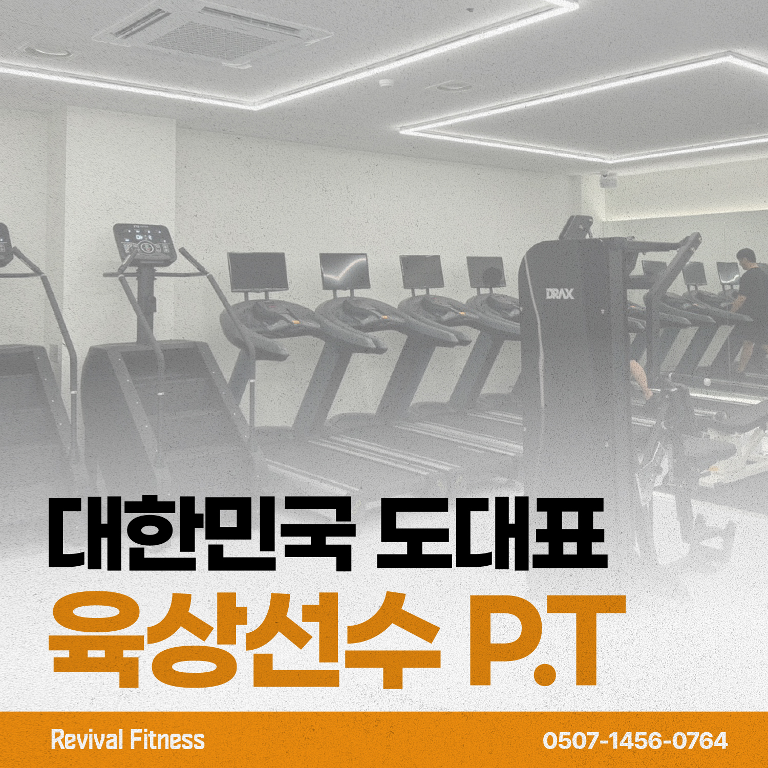 리바이벌 피트니스 헬스&PT삼성점