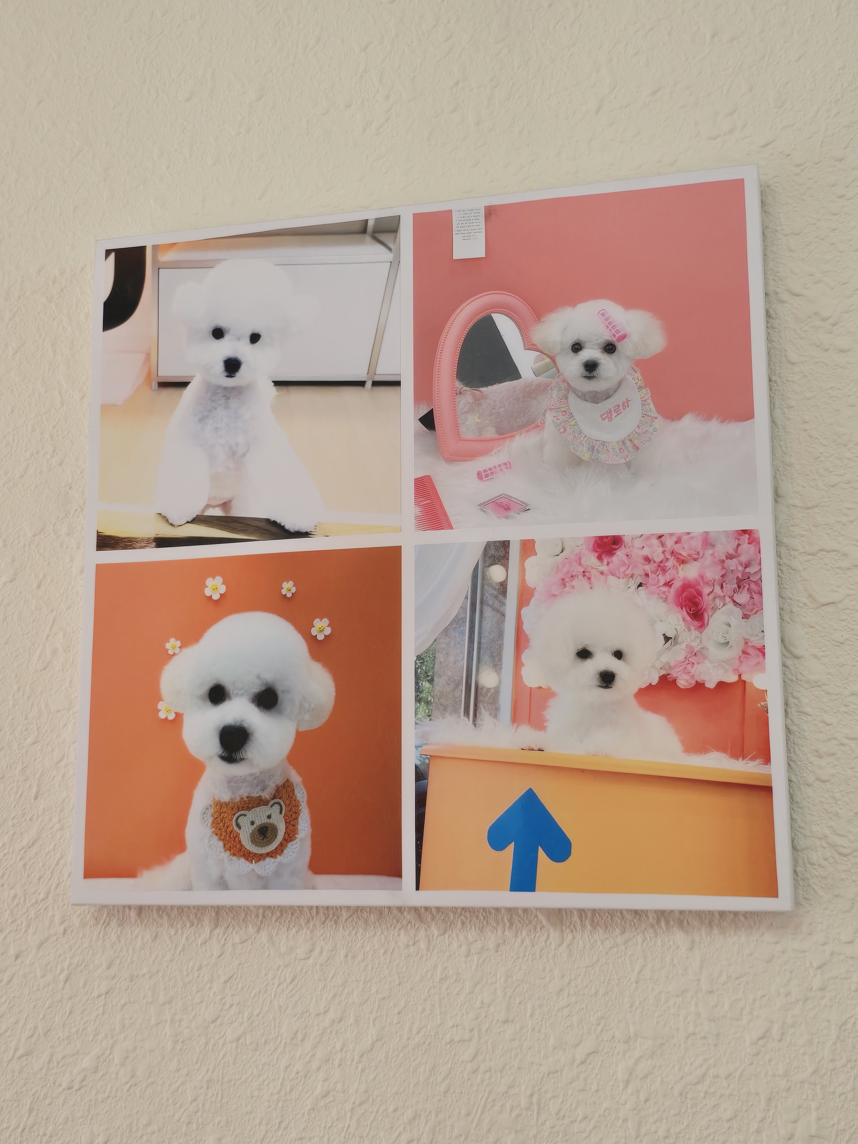 에바가위컷전문점 대표 이미지