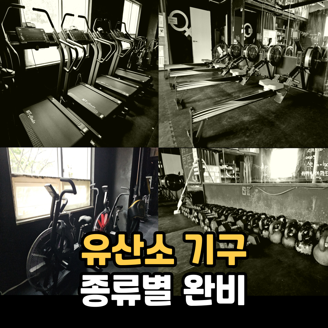 서울 은평구 은평로 복싱체육관 익스트림에스 내부 모습 3