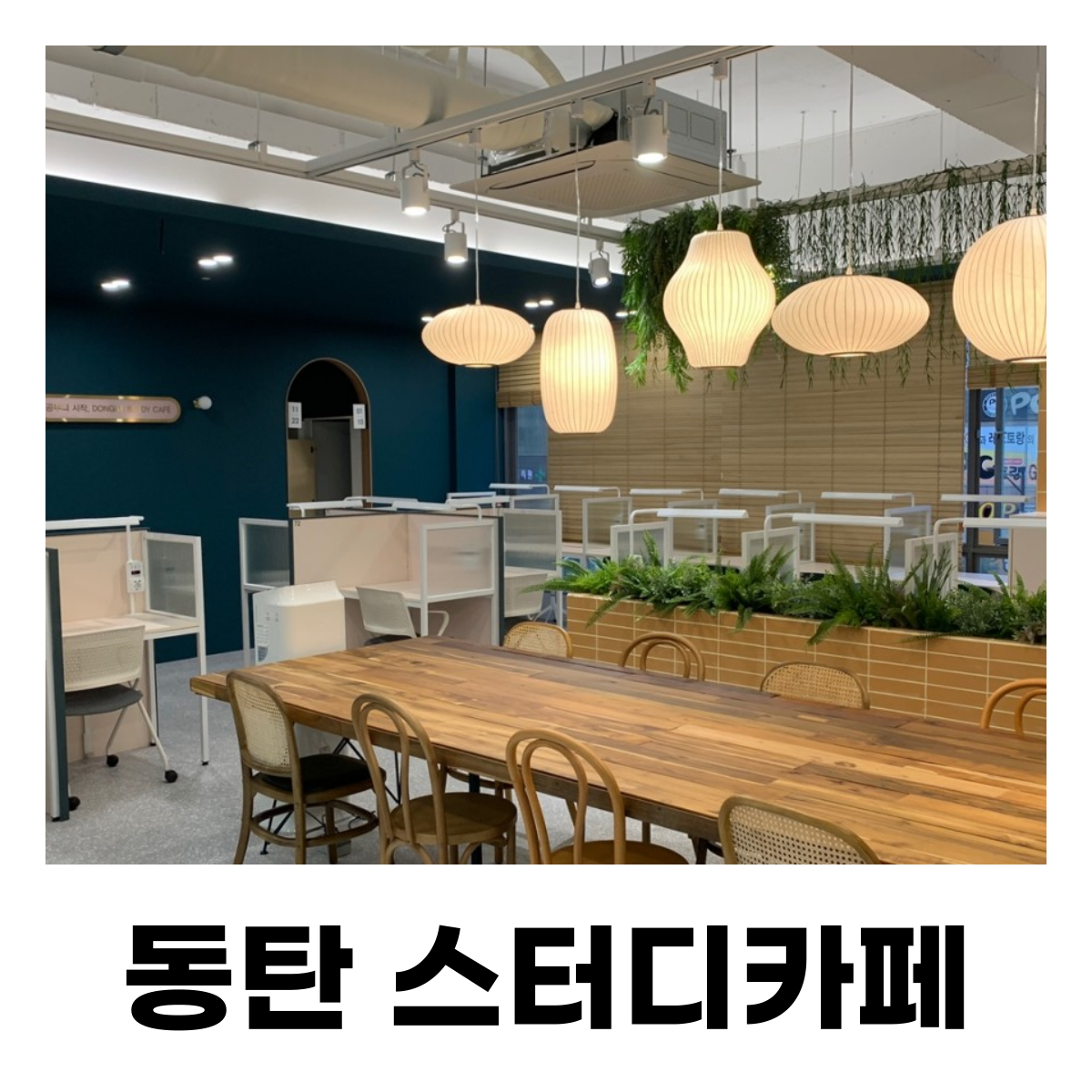 업체사진