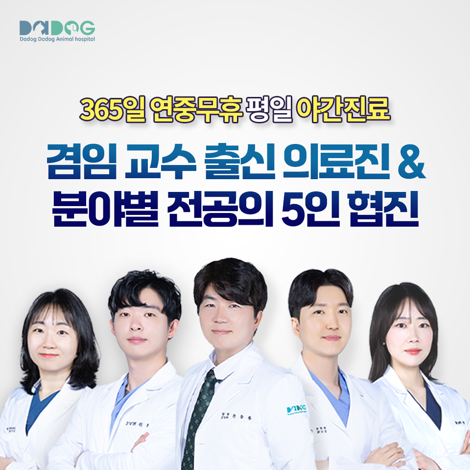 다독다독 동물병원