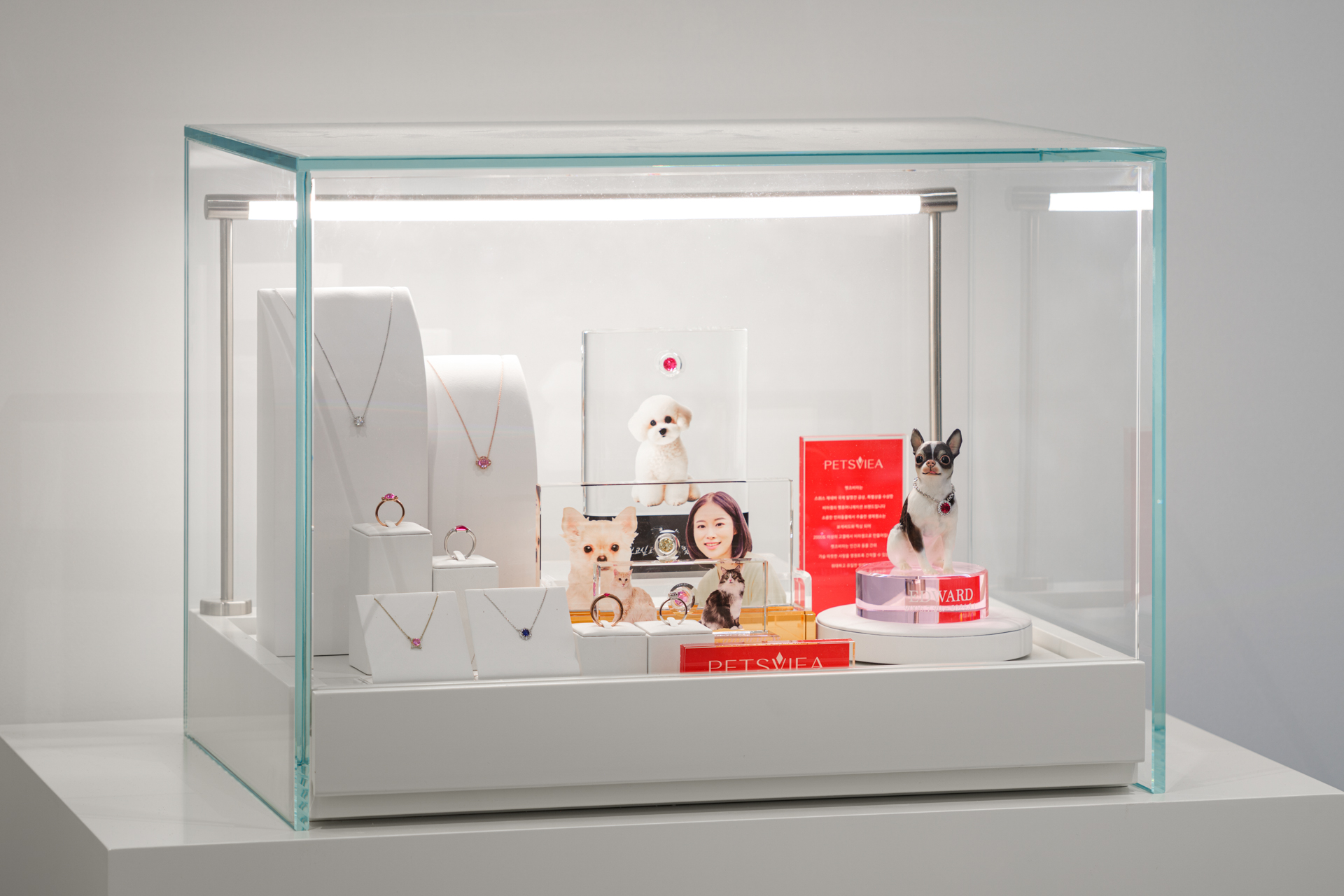 펫포레스트 반려동물장례식장 남양주점 대표 이미지