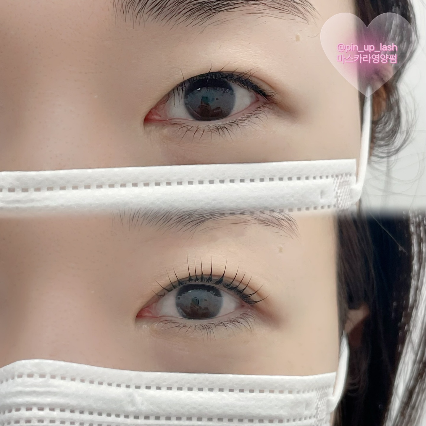핀업래쉬 대표 이미지