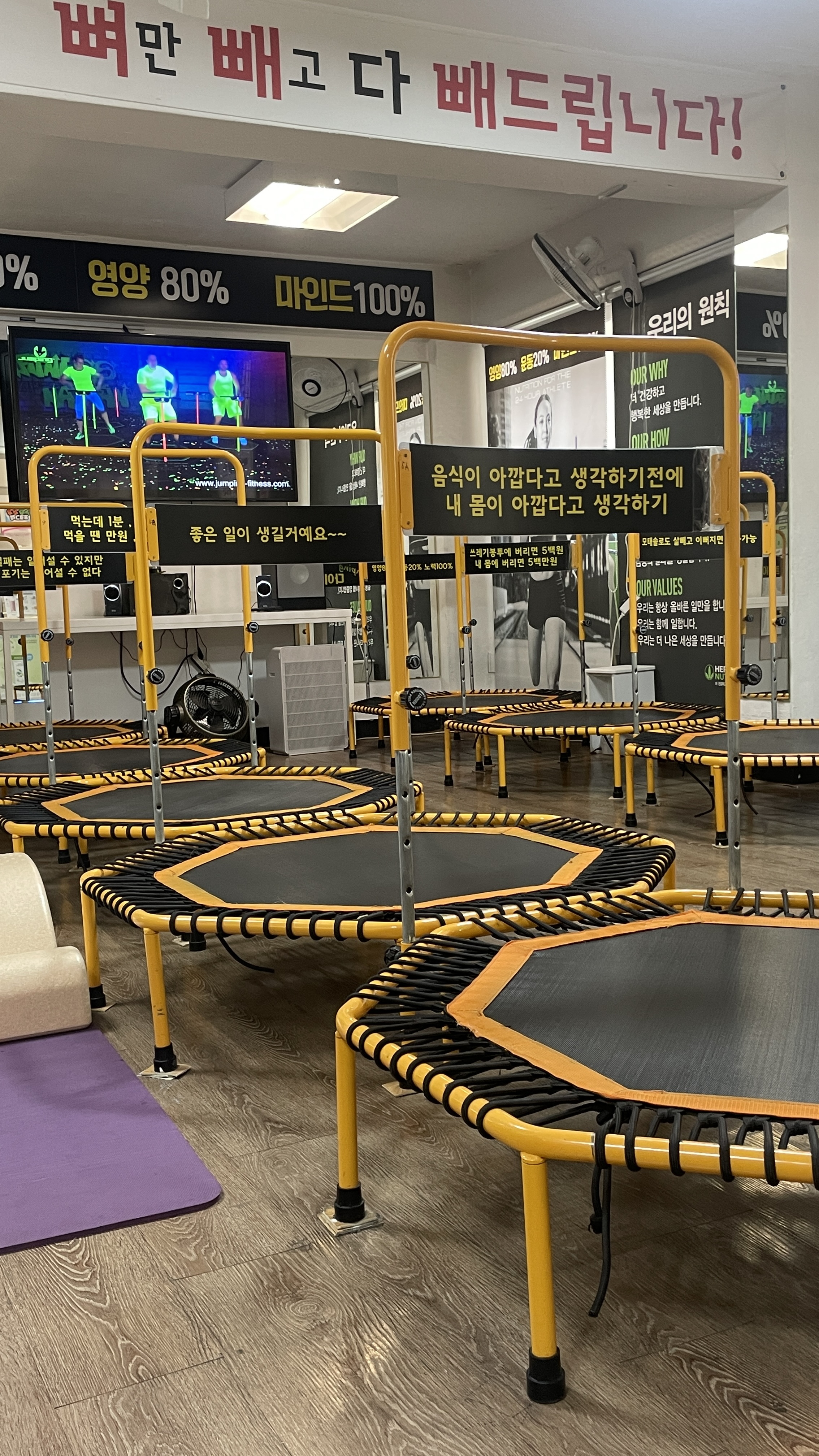 해피해피점핑다이어트