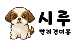 시루반려견미용 대표 이미지