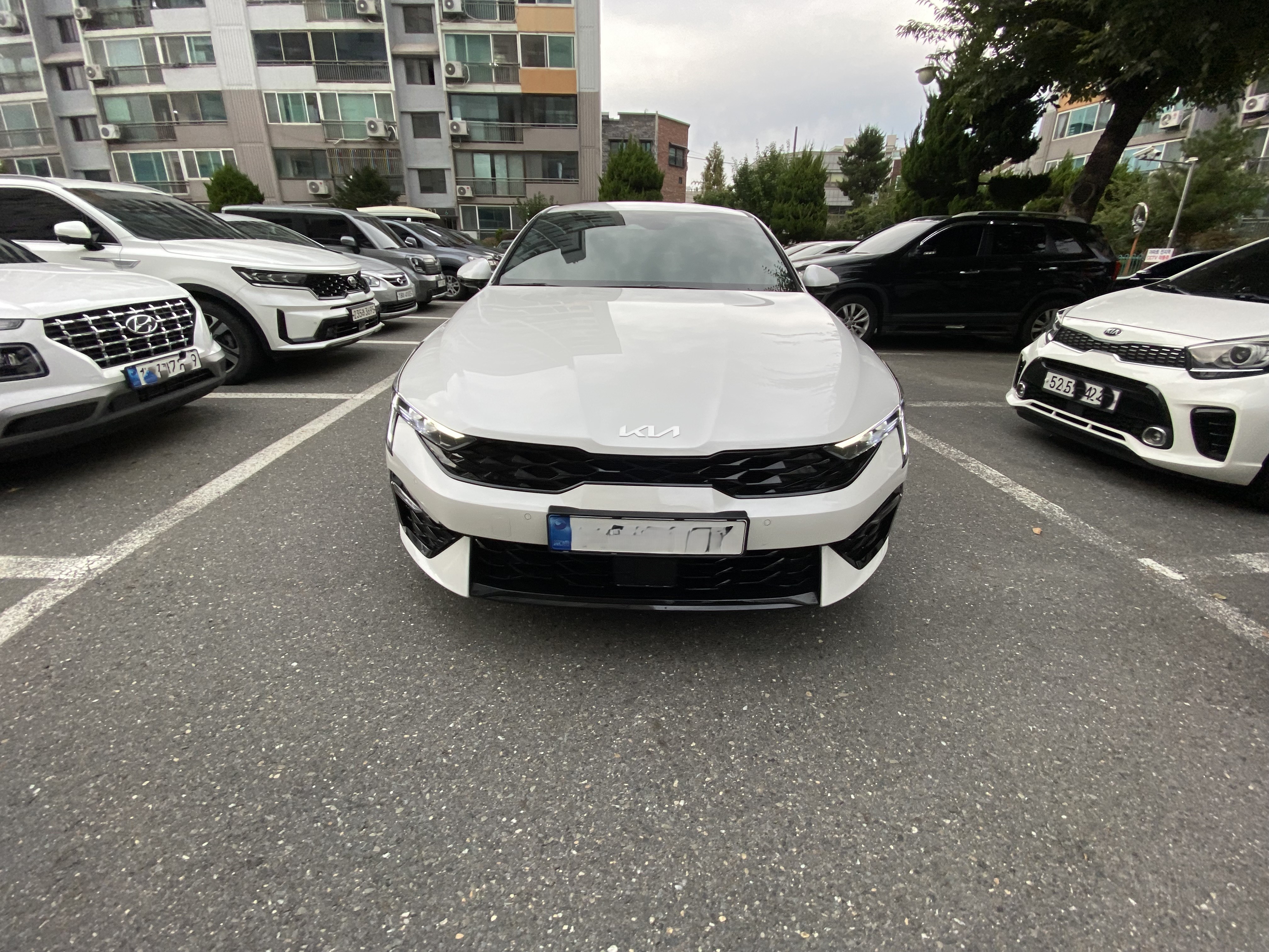 청주렌트카 복대동지웰시티점