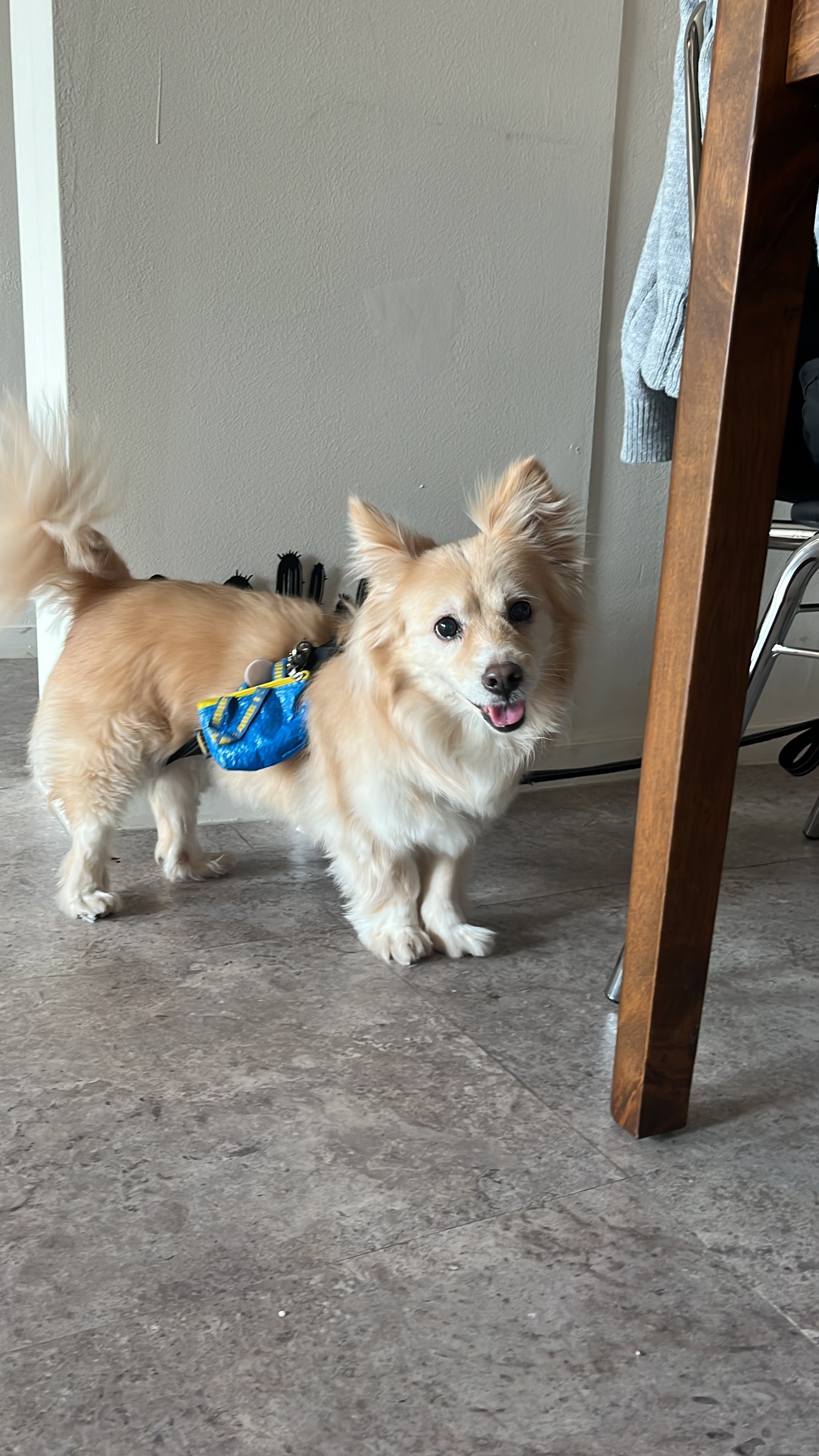 트리거 대표 이미지