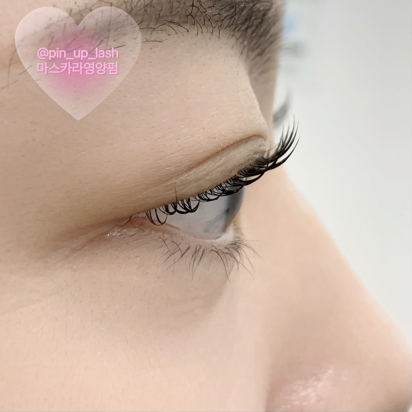 핀업래쉬 대표 이미지