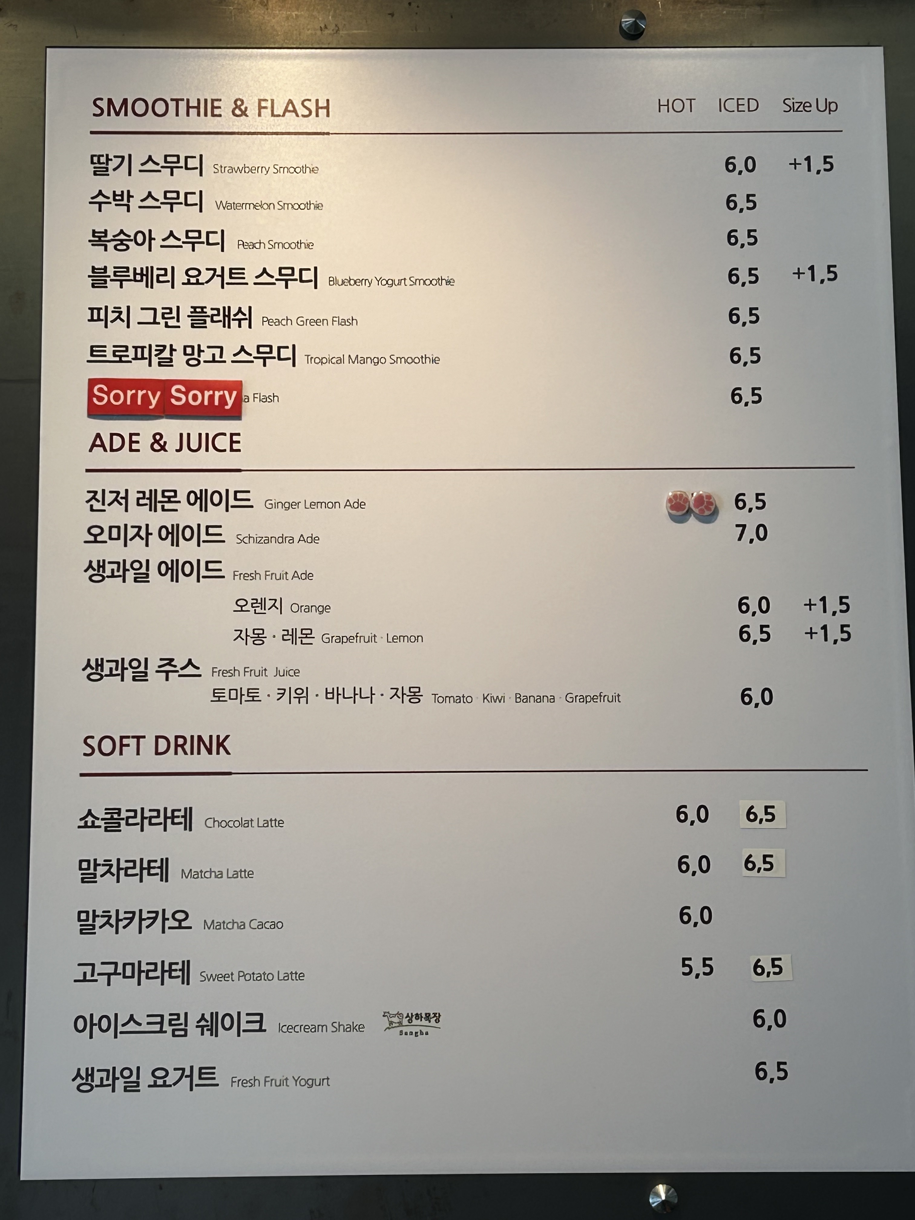 커피명가 단양점 반려동물 동반 애견카페