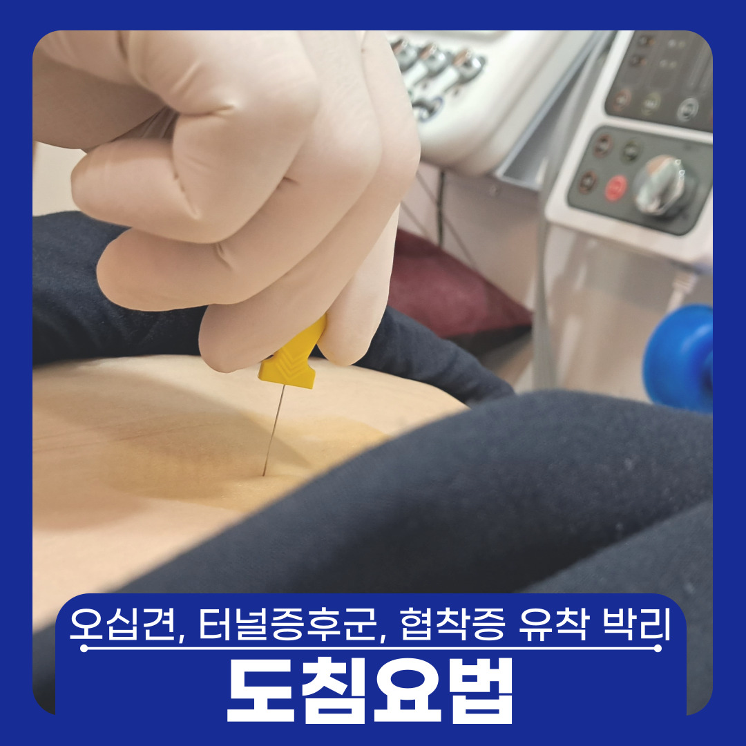 세종시365으랏차한의원 대표 이미지