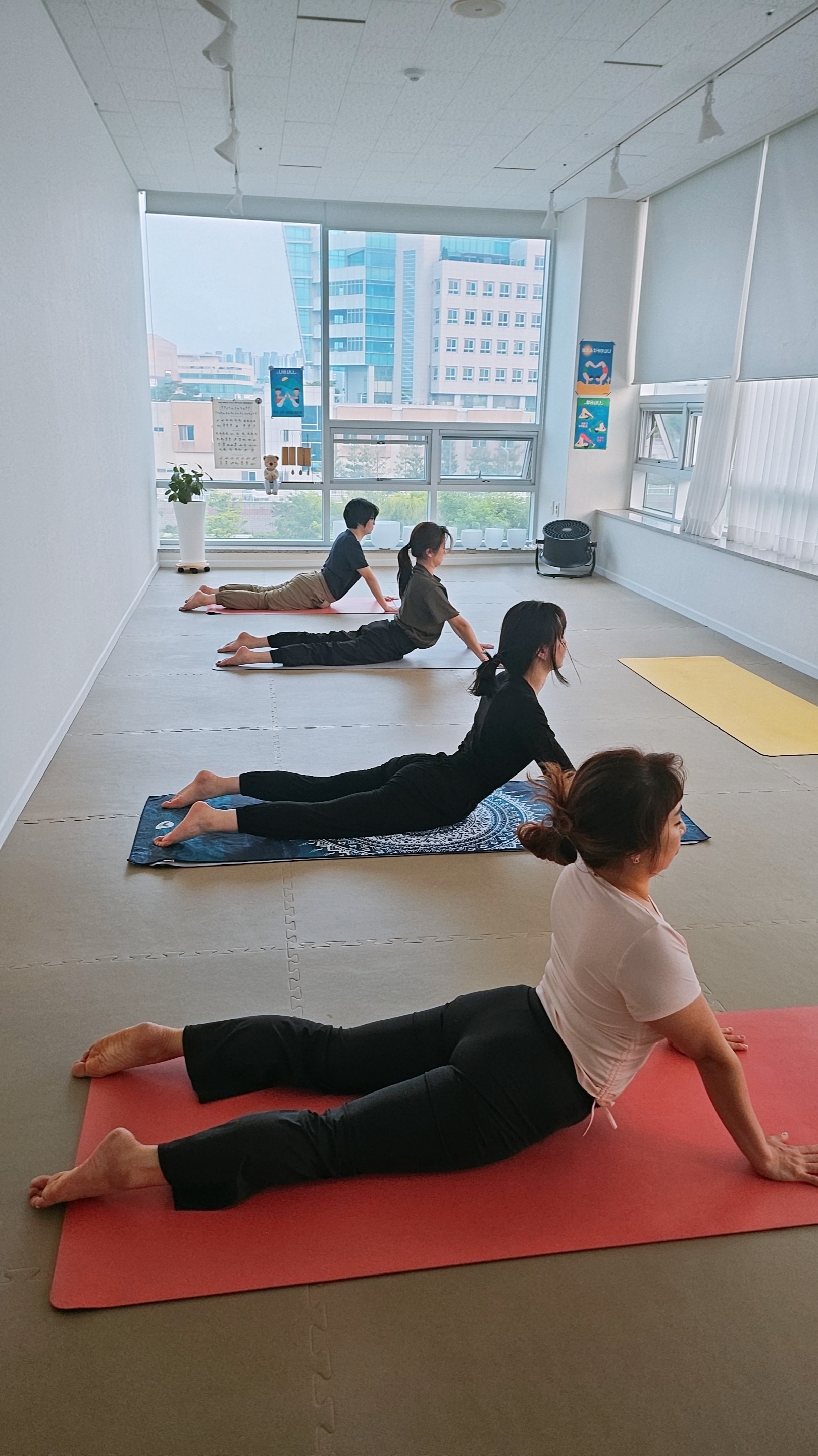 요가하는 작은집 대표 이미지