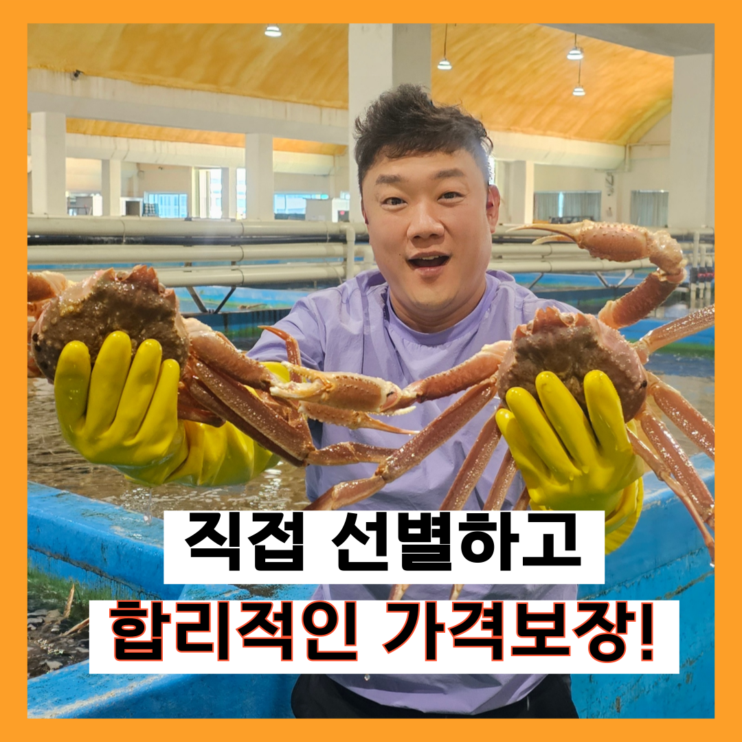 다팜큰바다수산