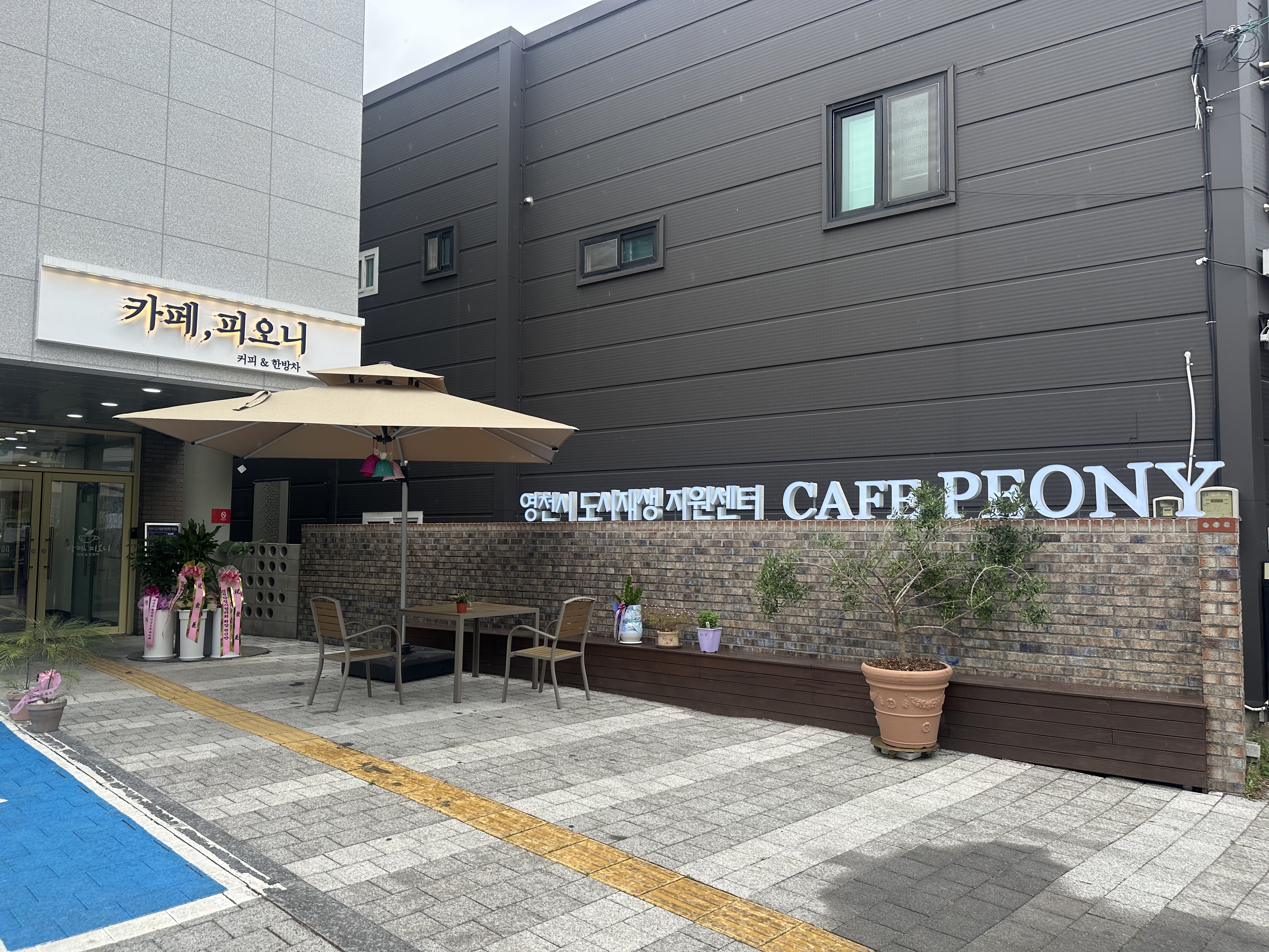 피오니에 3
