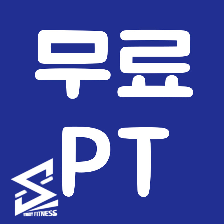 스테디휘트니스 안중점