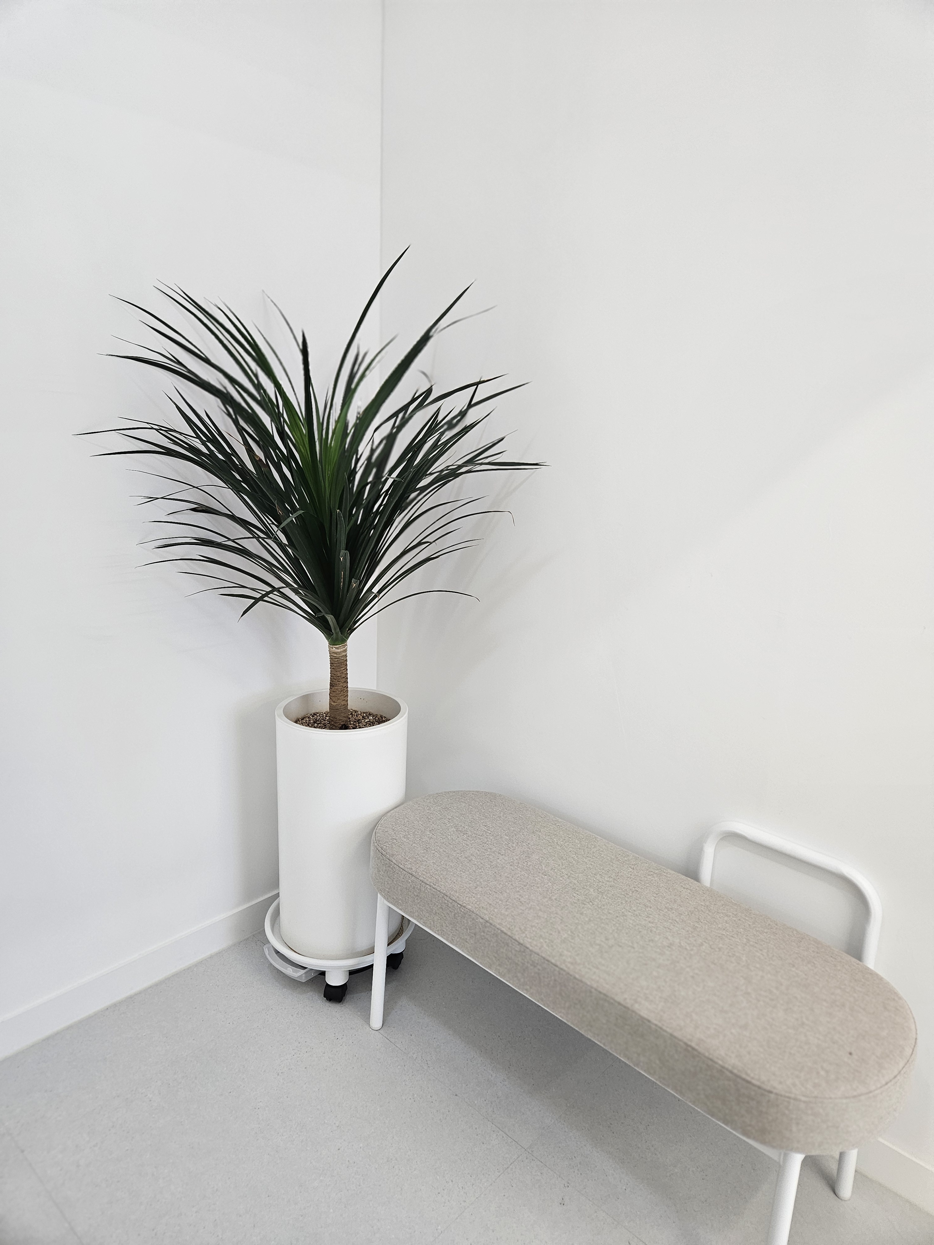 도담필라테스 대표 이미지