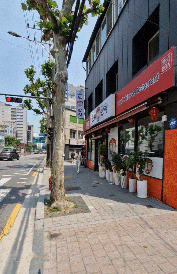 조하반점