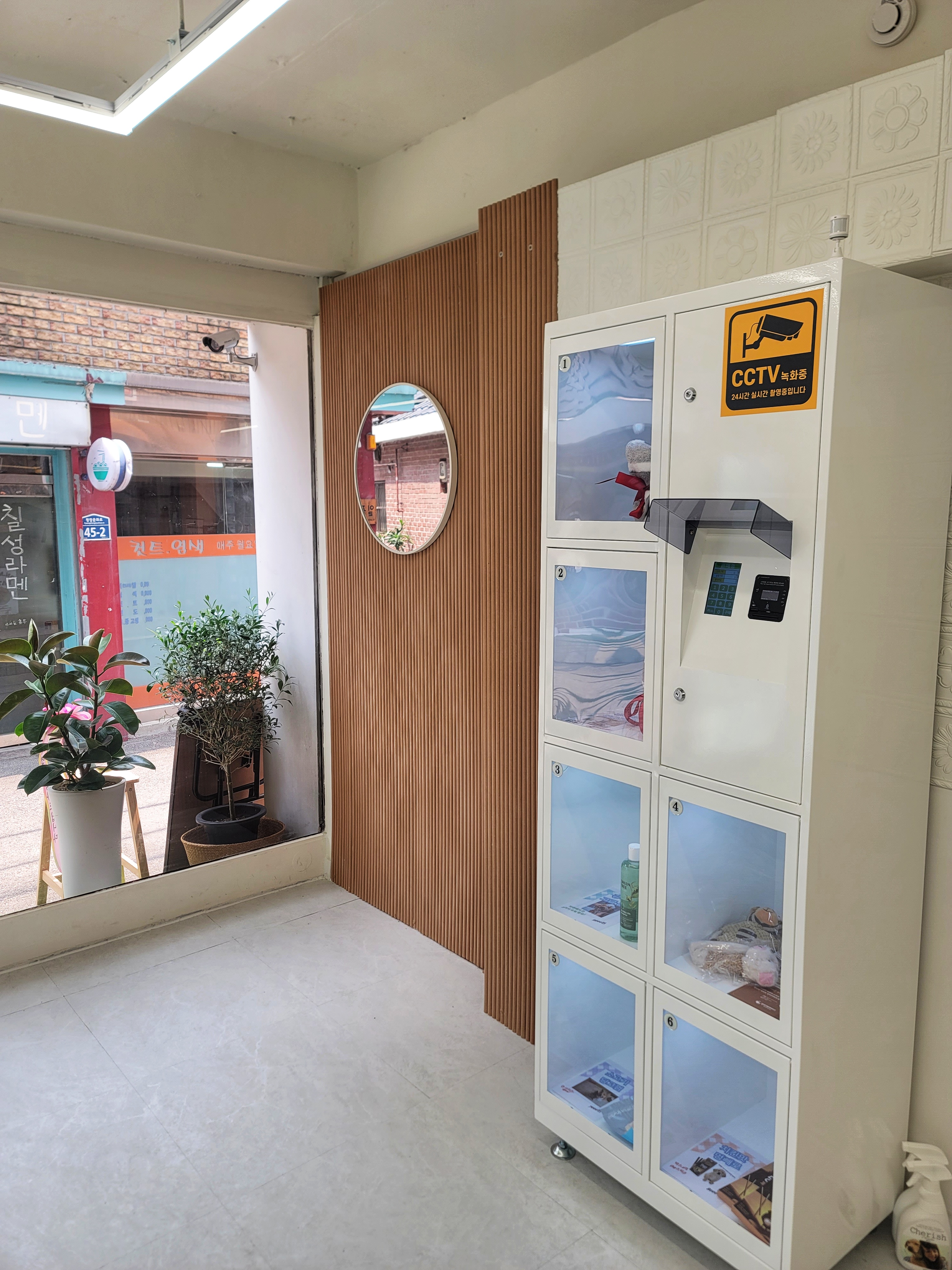 몽스워시 대표 이미지