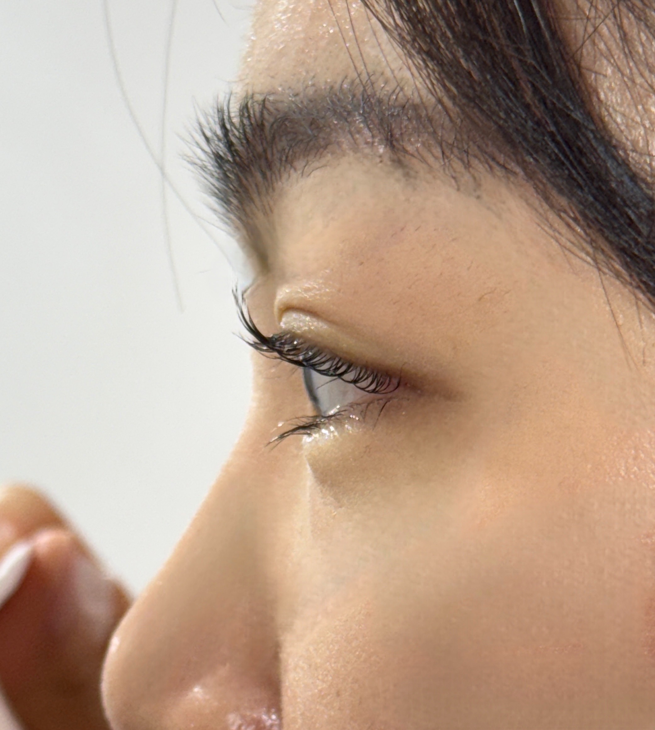 로아래쉬 대표 이미지