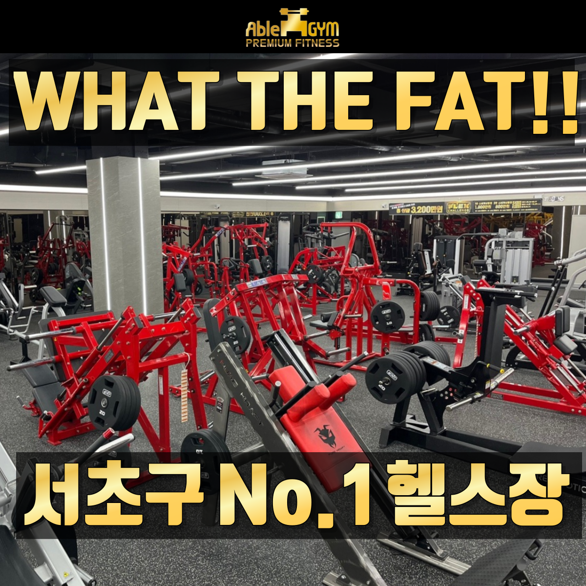 에이블짐 신논현역점