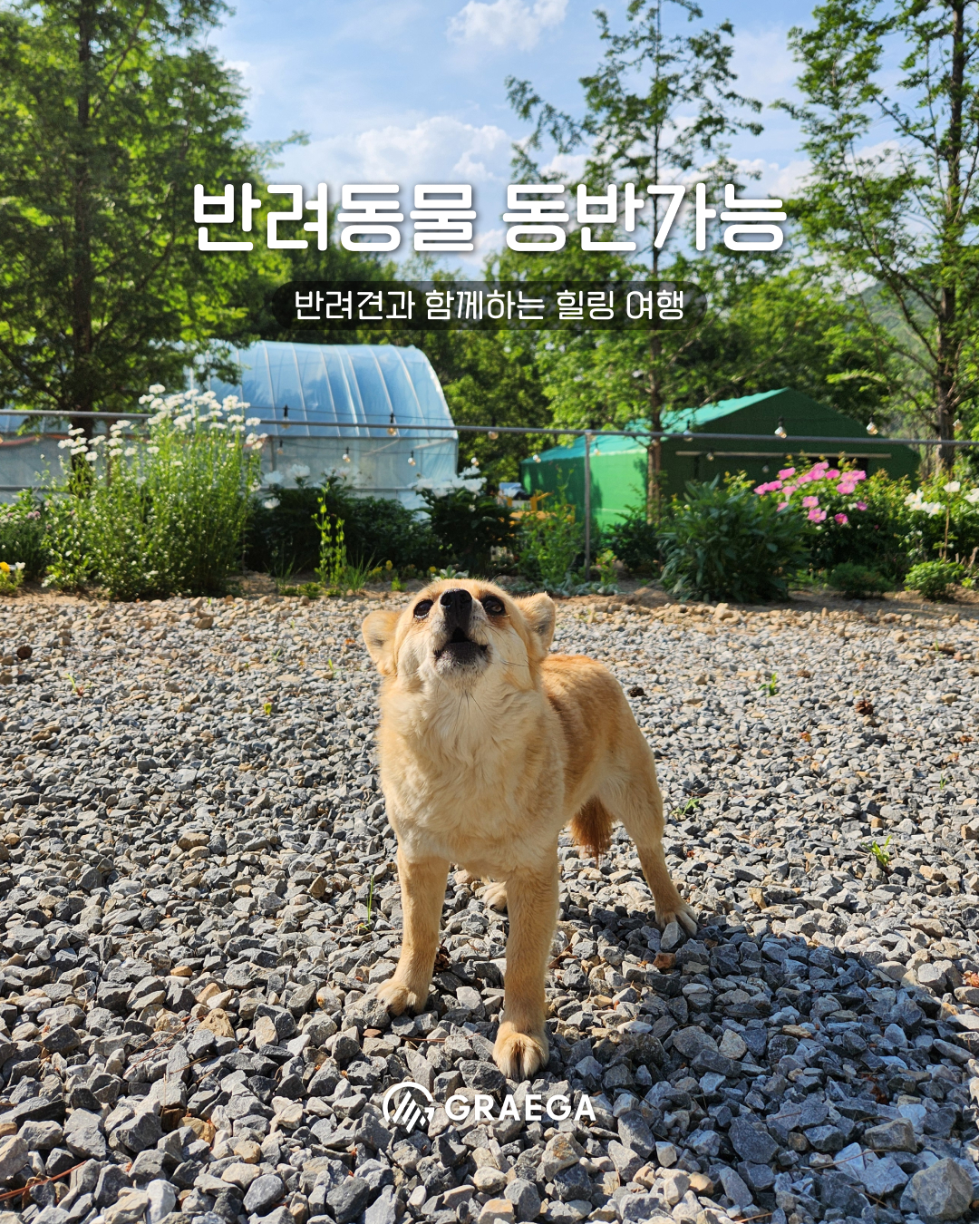 리우 캠핑장