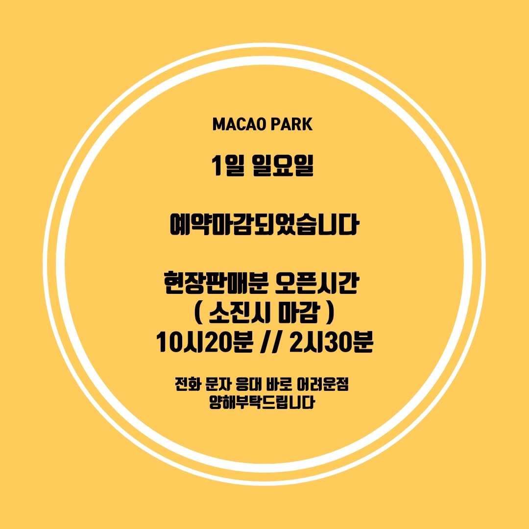 마카오박 설명사진