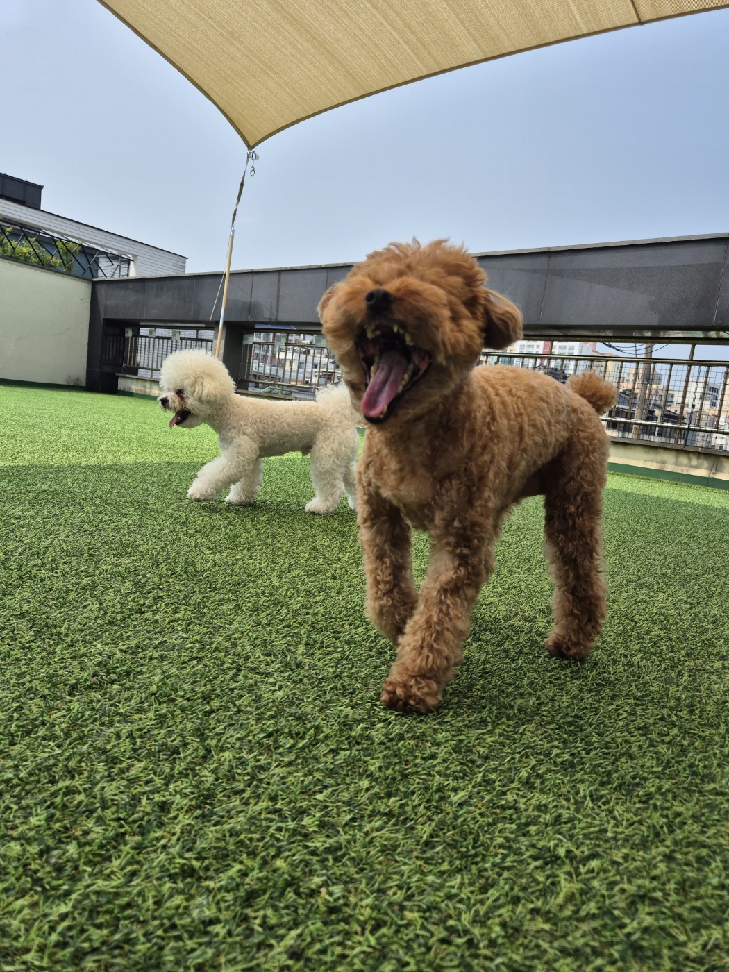 개스트하우스 대표 이미지