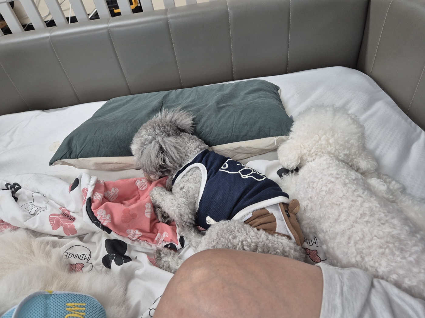 개스트하우스 대표 이미지