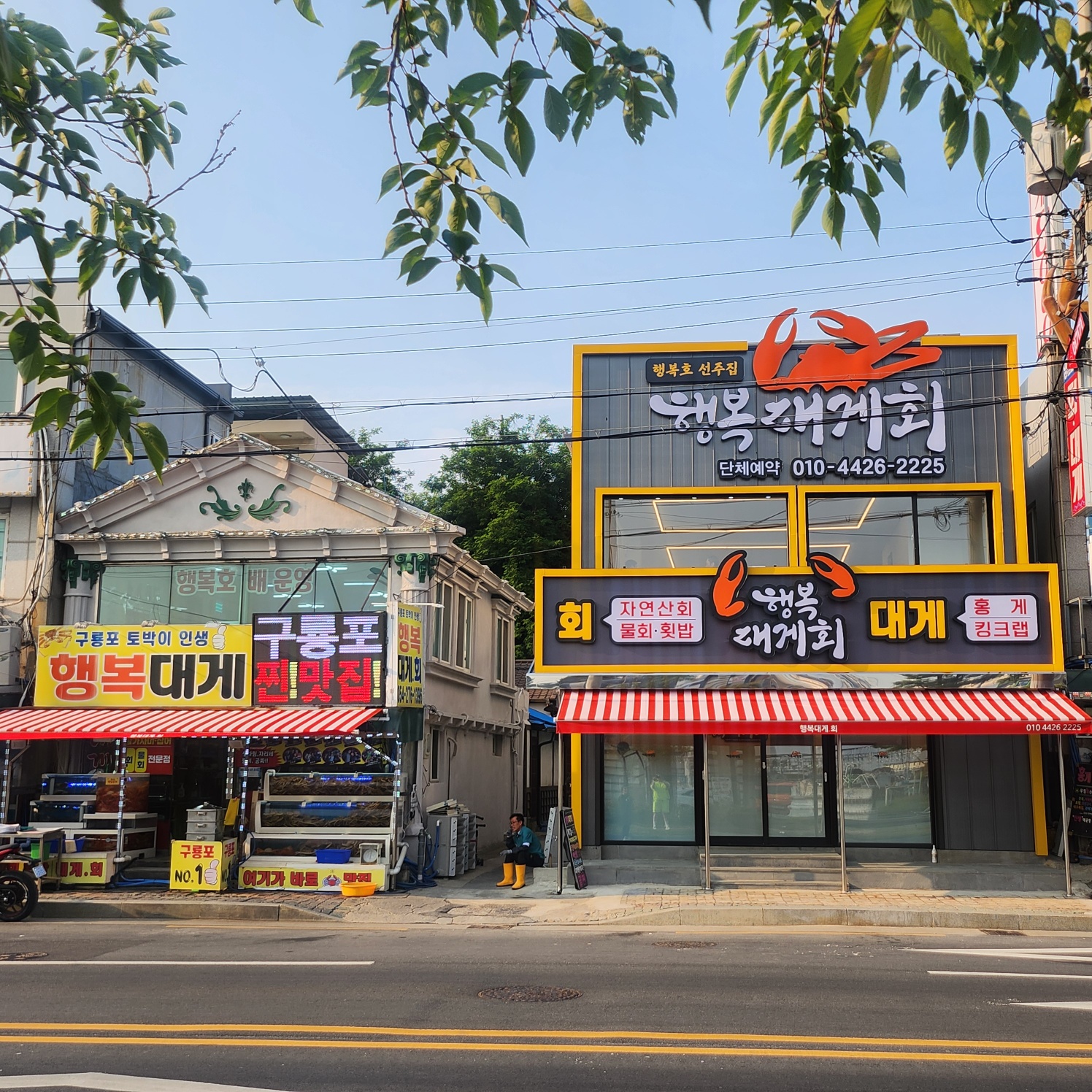 행복대게회 반려동물 동반 애견카페