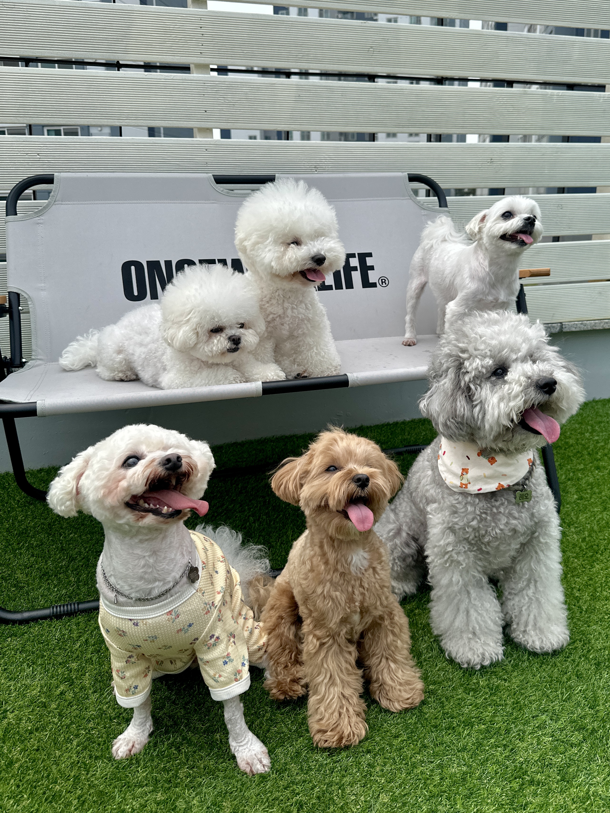 놀러오개 수원세류점 대표 이미지