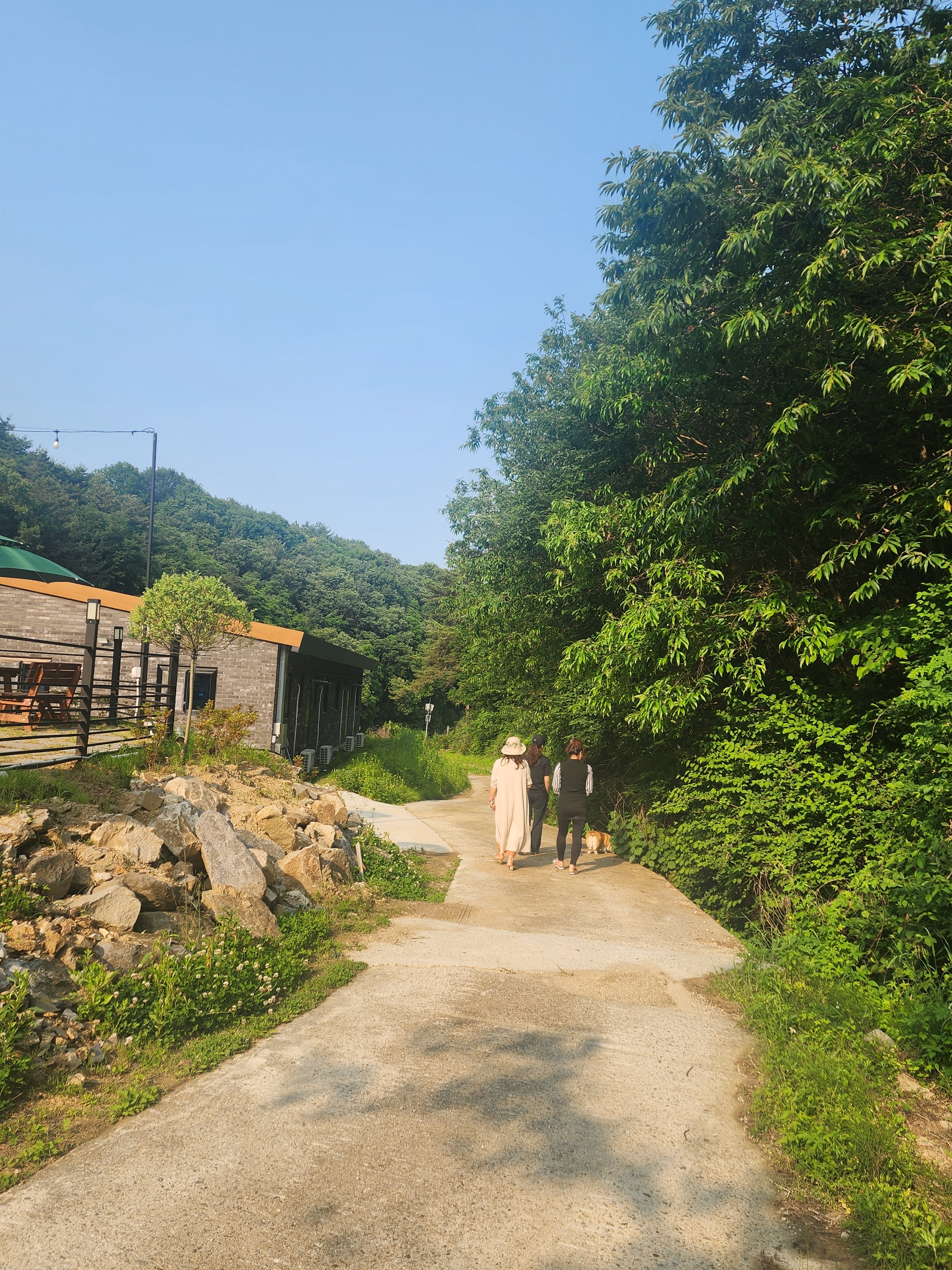 누리다애견펜션 충청 애견숙소