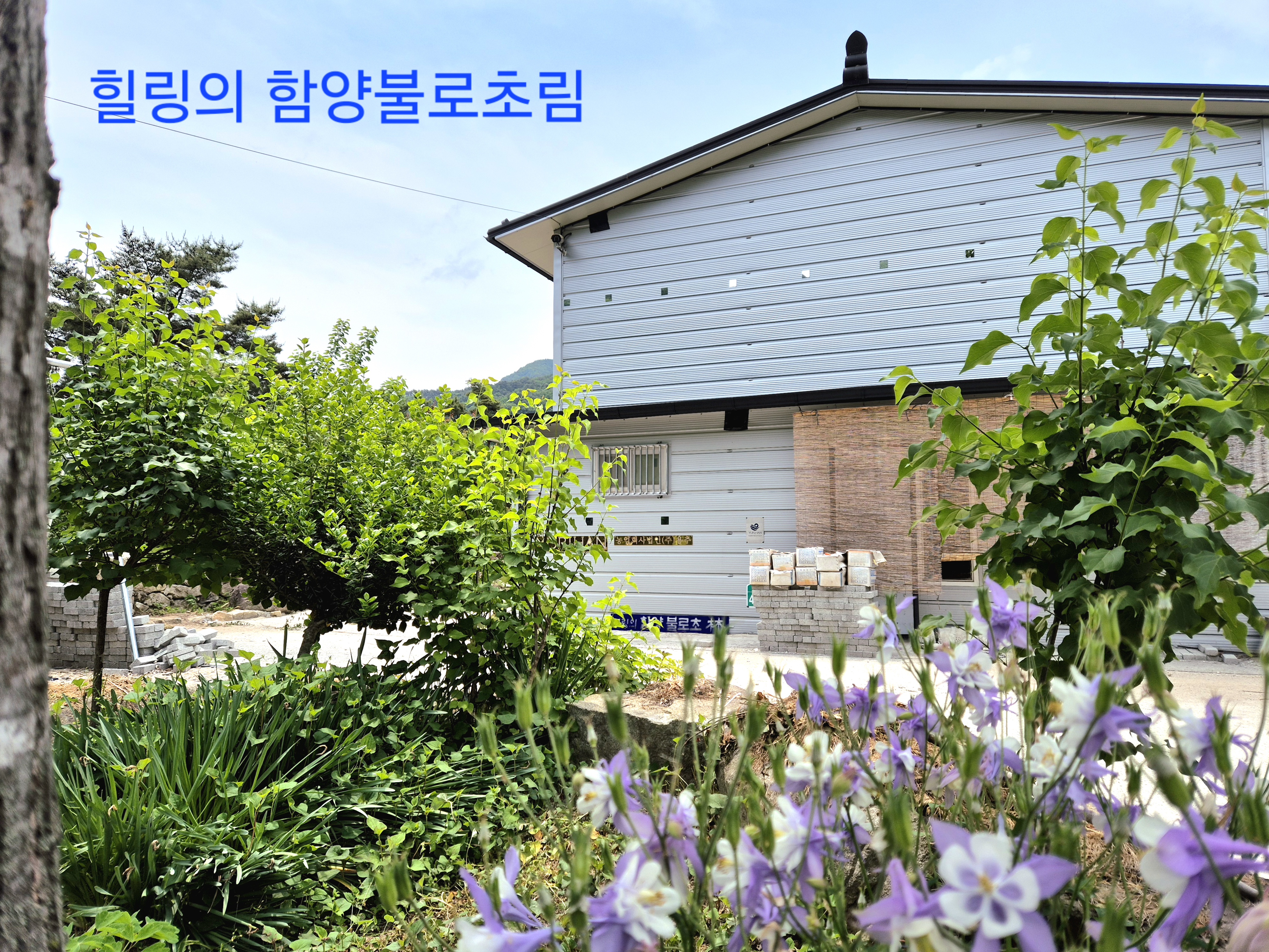 함양불로초림