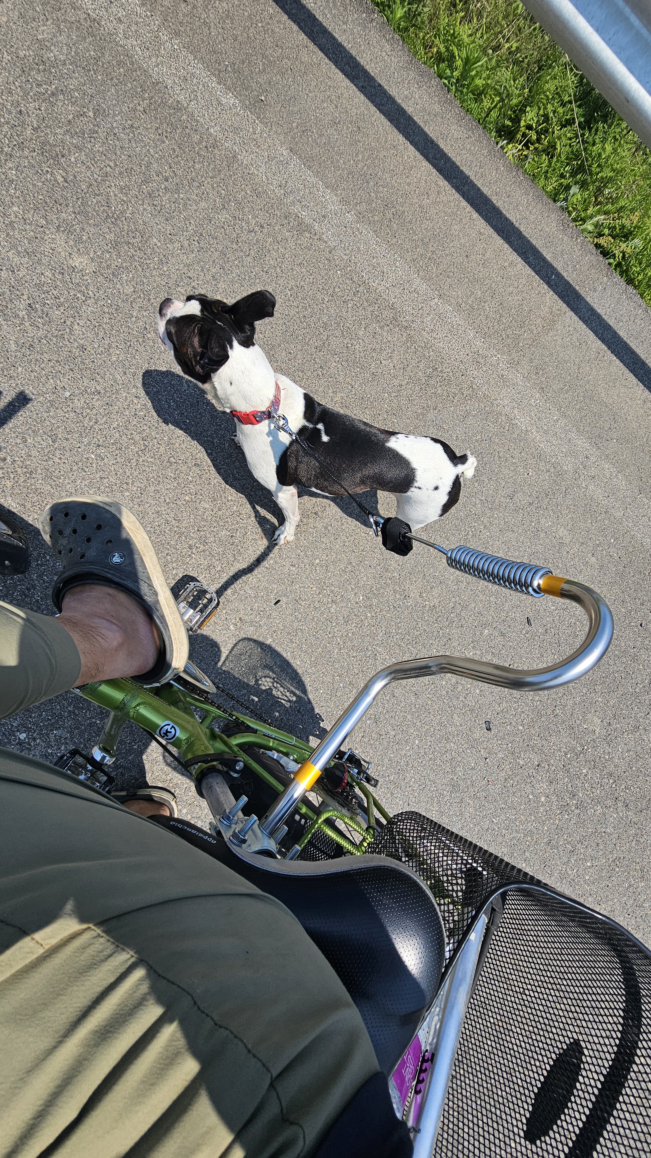 러닝독트레이닝 대표 이미지