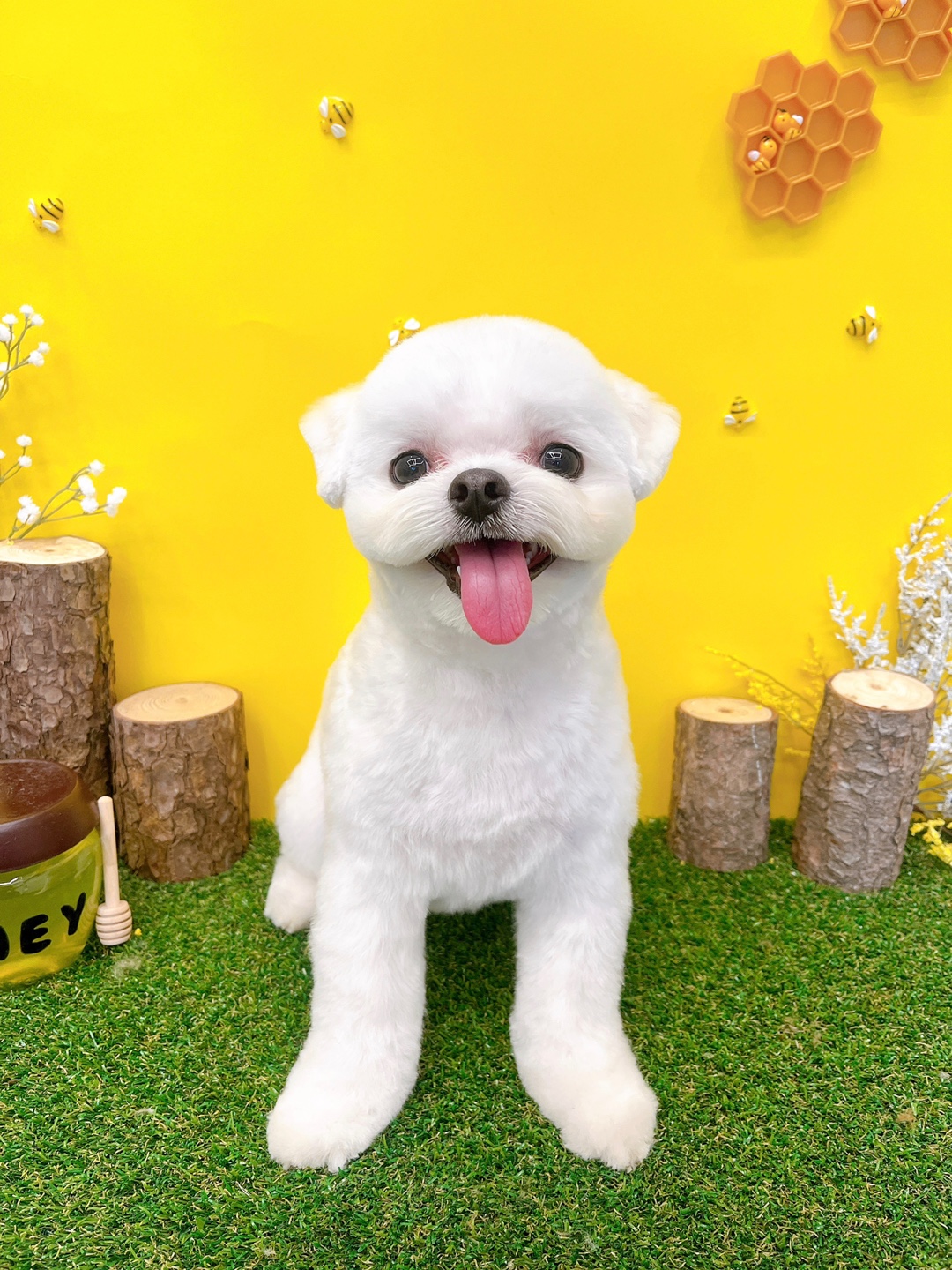 까망코살롱 대표 이미지