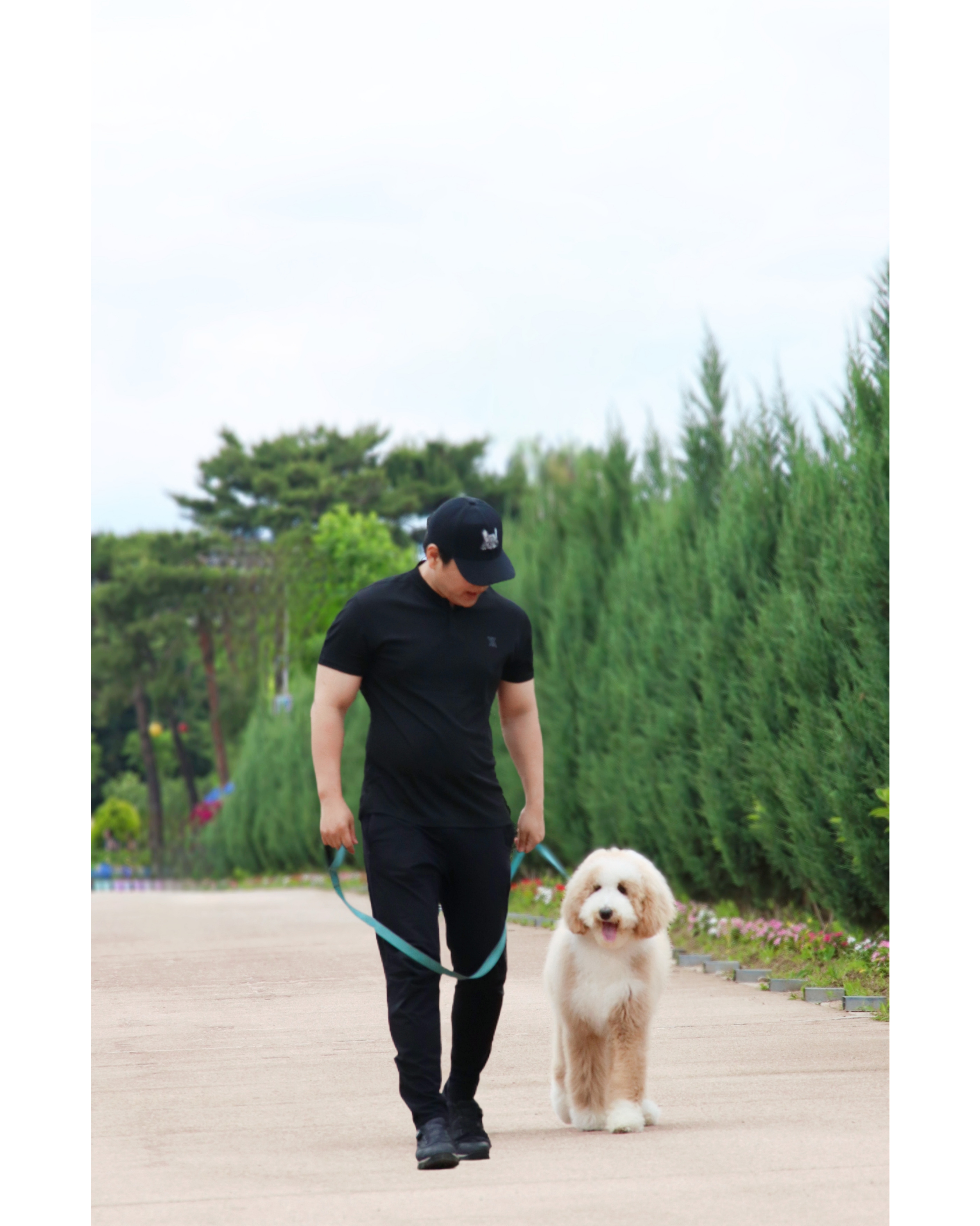 프래들 애견학교 대표 이미지