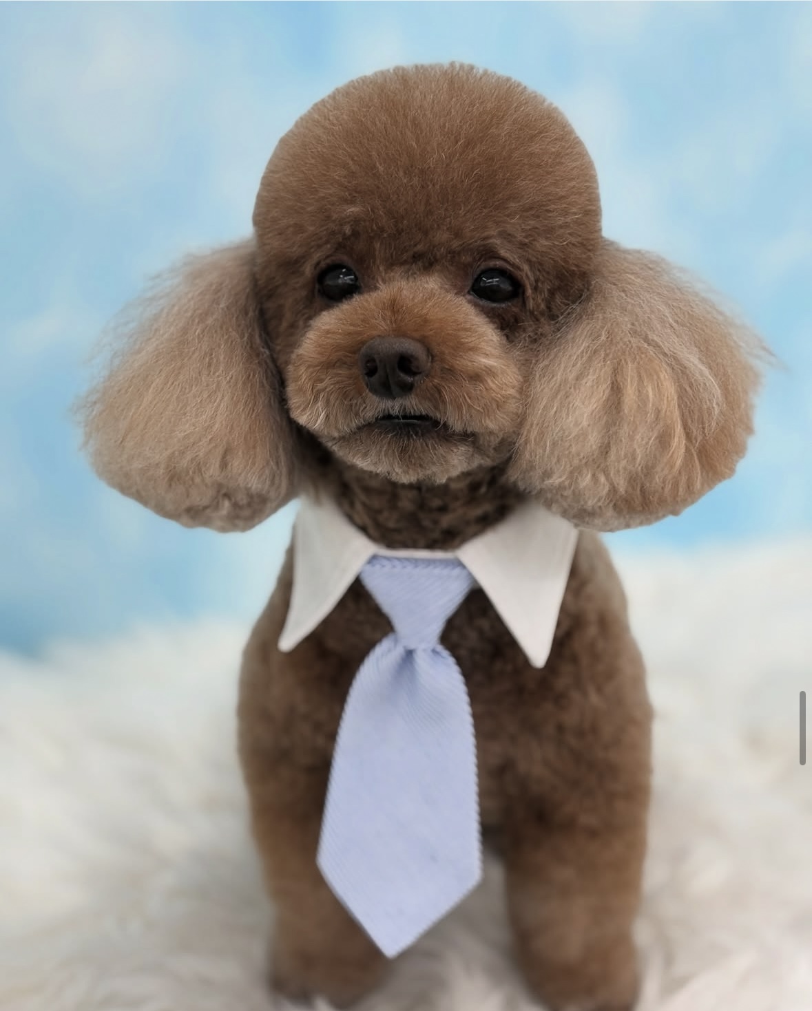 라이크잇