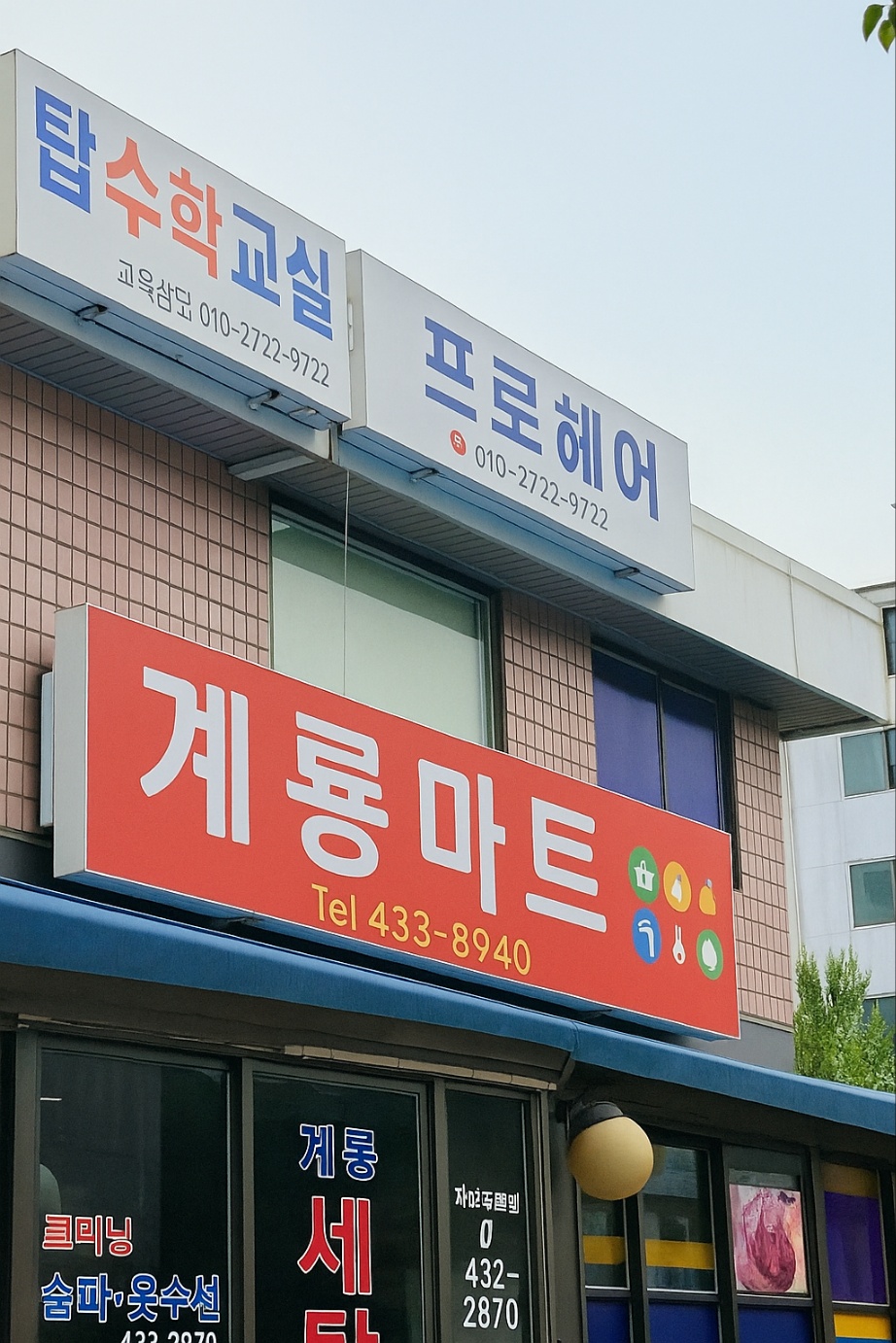 프로헤어