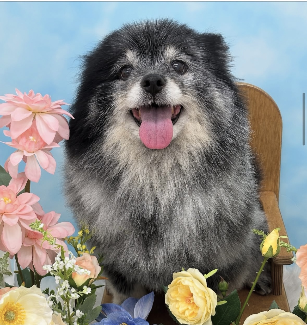라이크잇