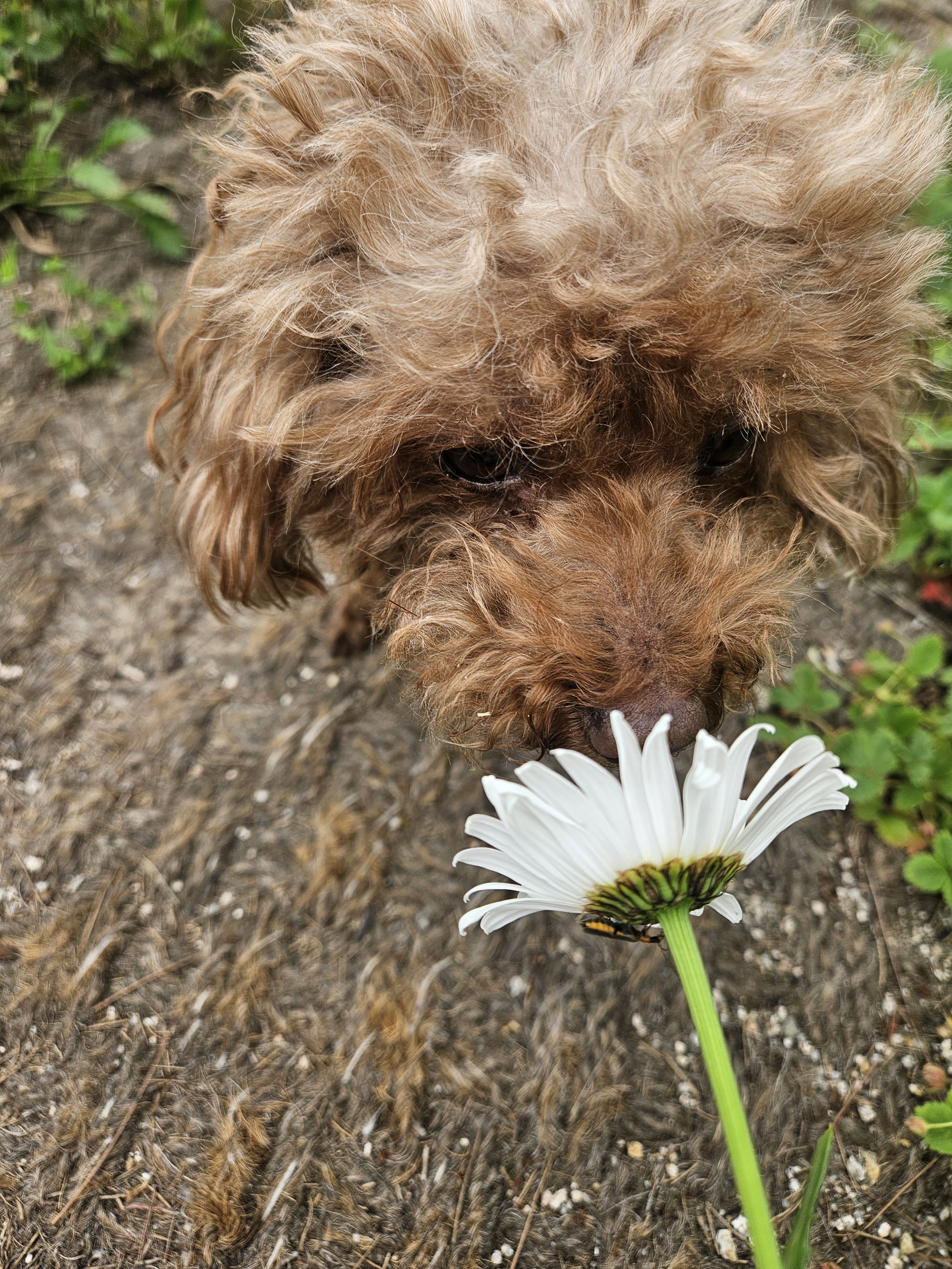 명장시대 대표 이미지
