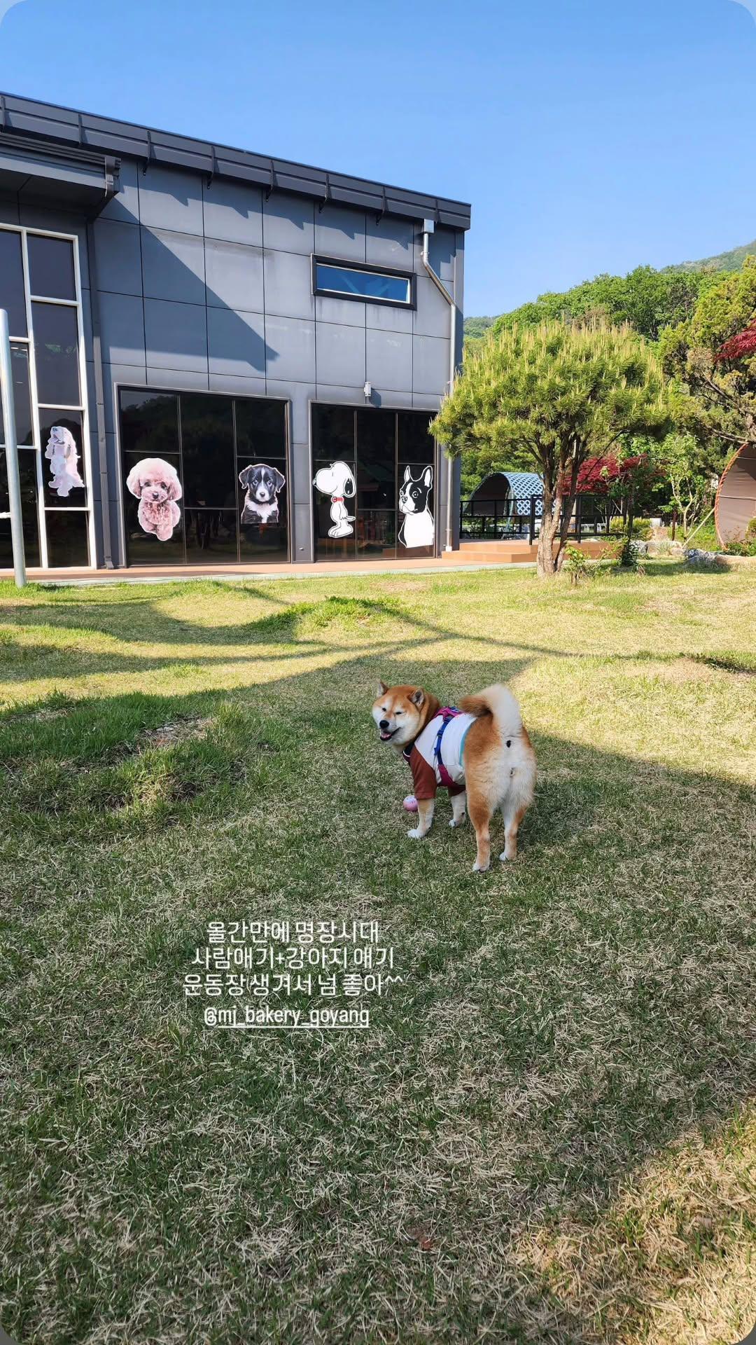 명장시대 베이커리 대표 이미지