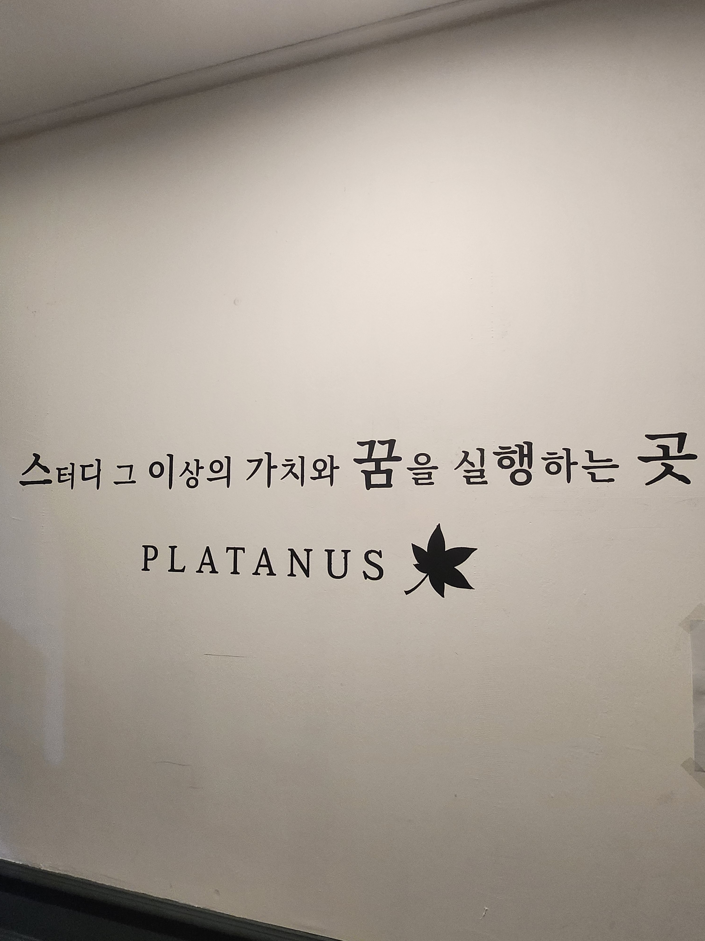 업체사진