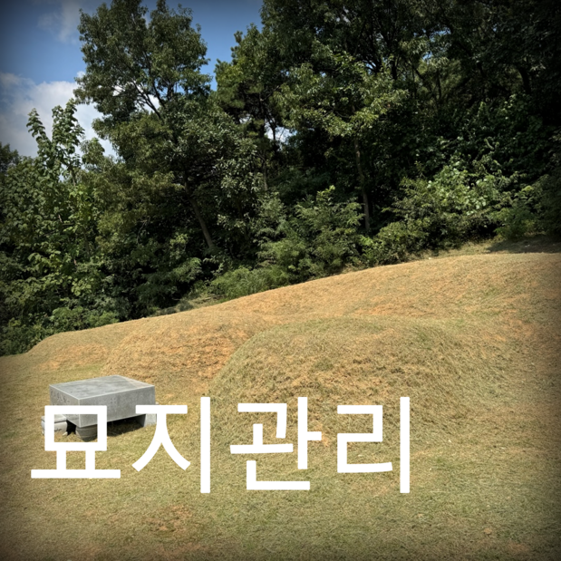 고은조경