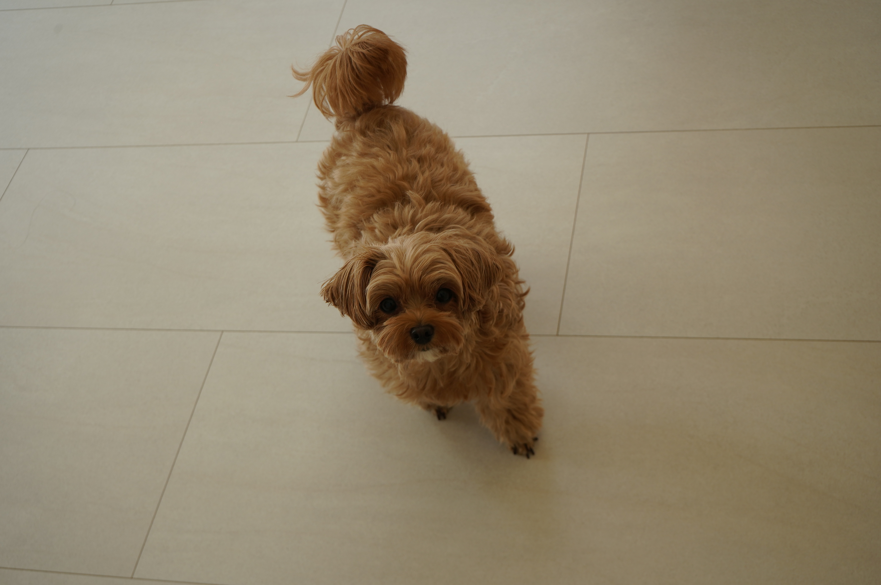 울루루요가 신금호점 대표 이미지